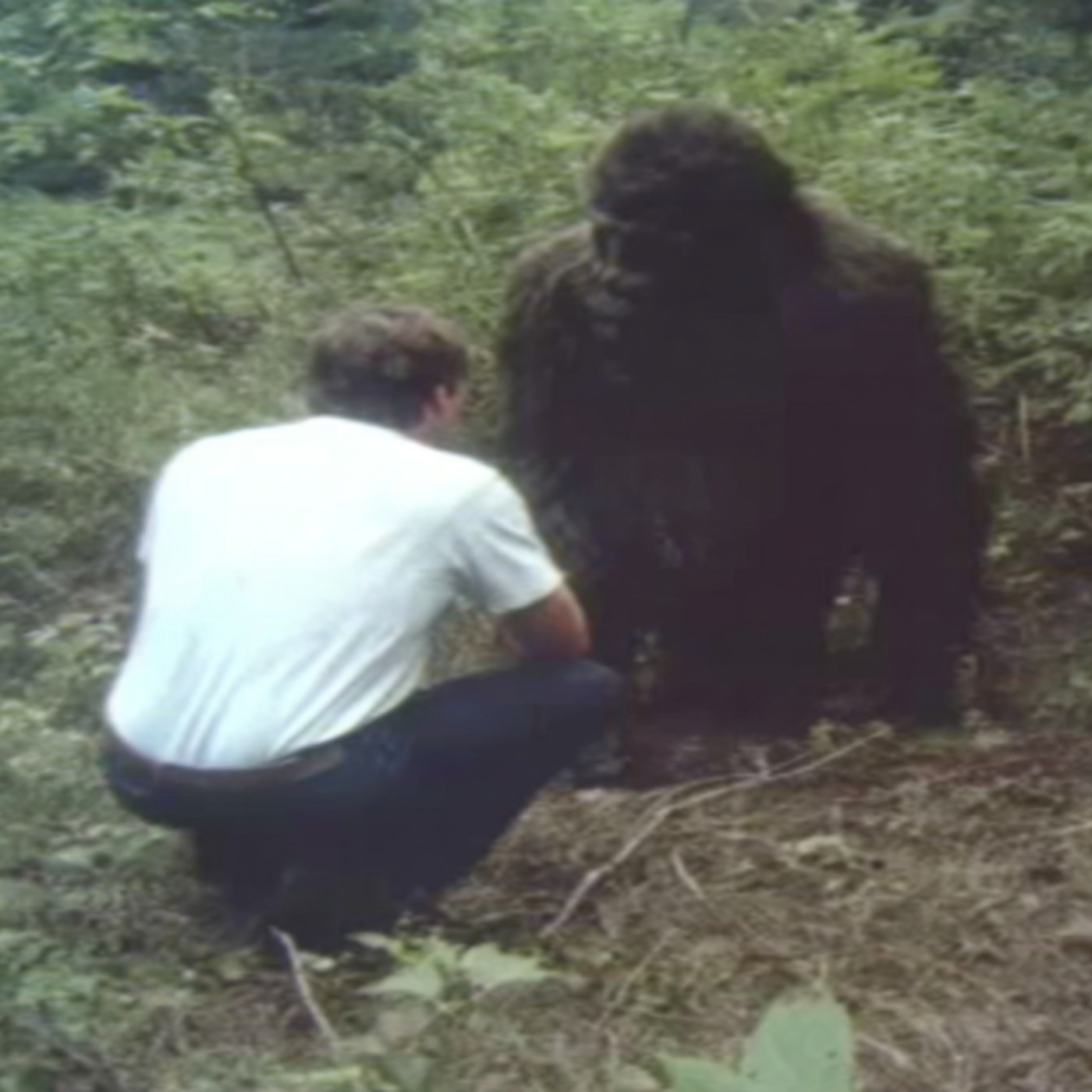 SOMETHING Is Going On in ALASKA... SOMETHING Is Going On in ALASKA...