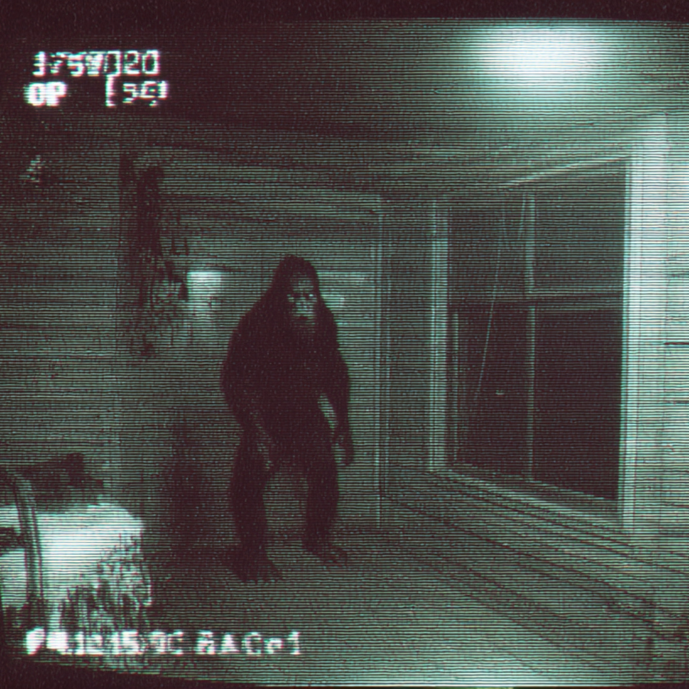 U.S. Navy SEALS SPILLS the BEANS about CREATURES They KILLED In APPALACHIAN Mountains U.S. Navy SEALS SPILLS the BEANS about CREATURES They KILLED In APPALACHIAN Mountains