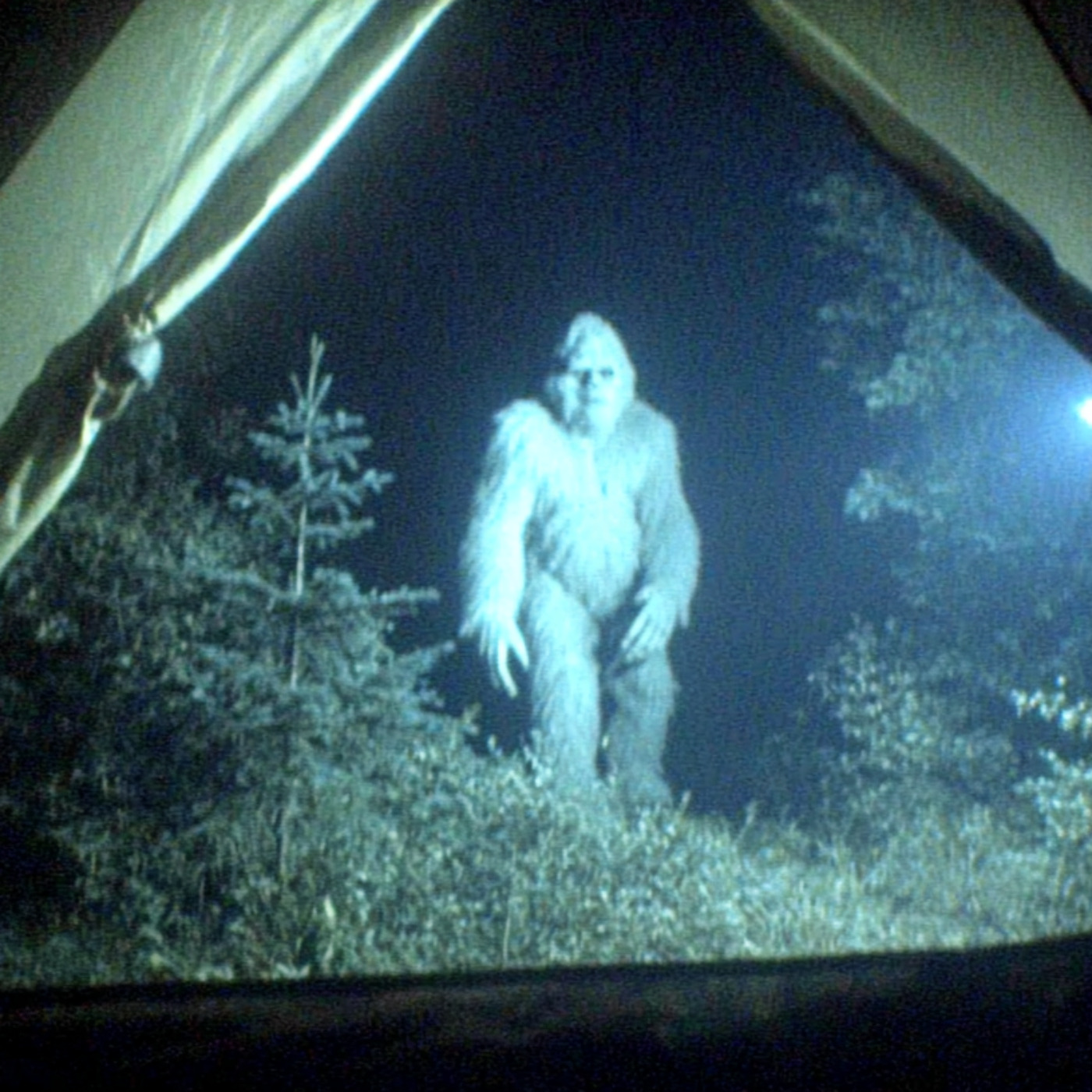 U.S Government Hired Us To Kill These Creatures. What We Found in Alaska Shouldn’t Exist