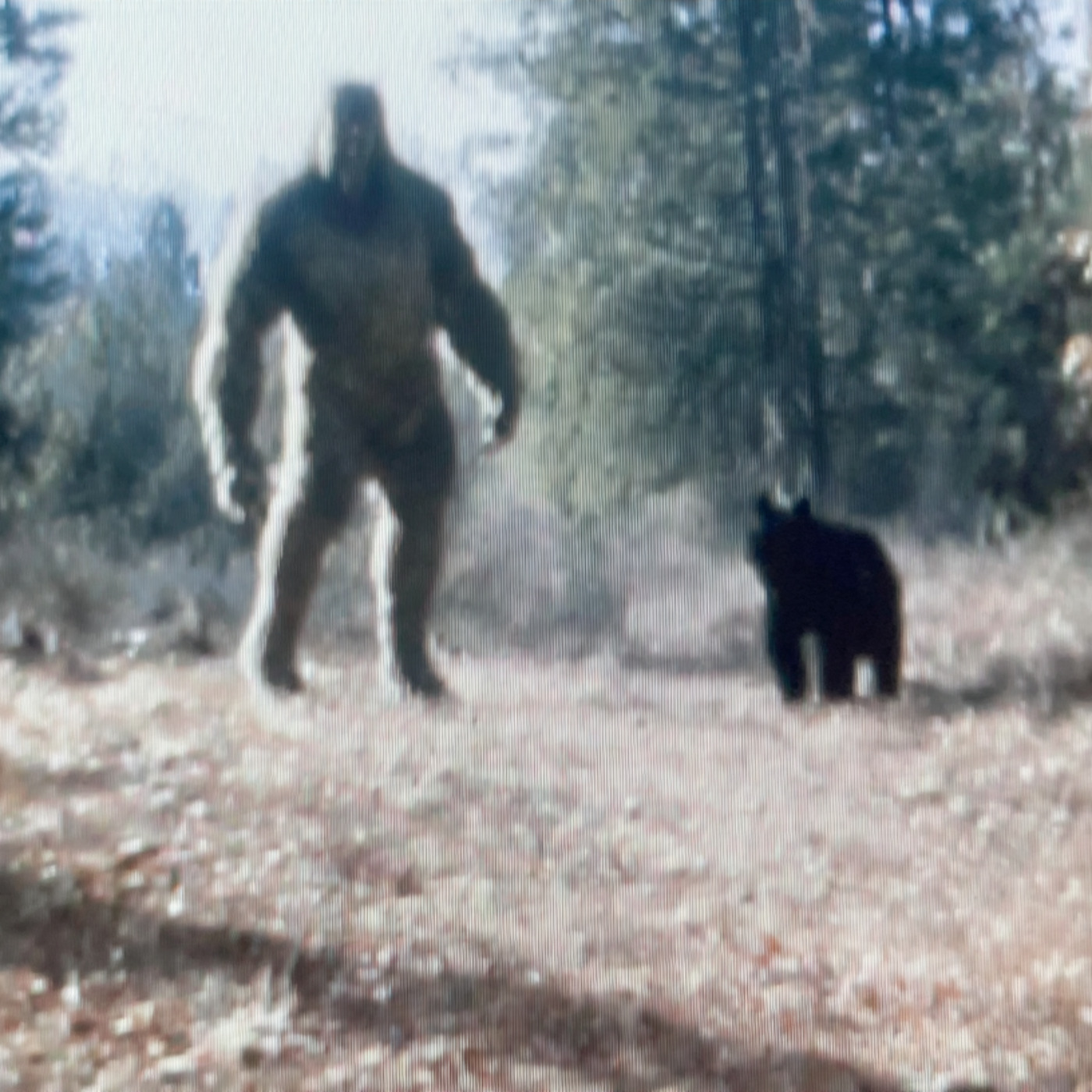 They Walked In Like Ghosts - When Navy SEALS Made U.S Gov't Question Everything