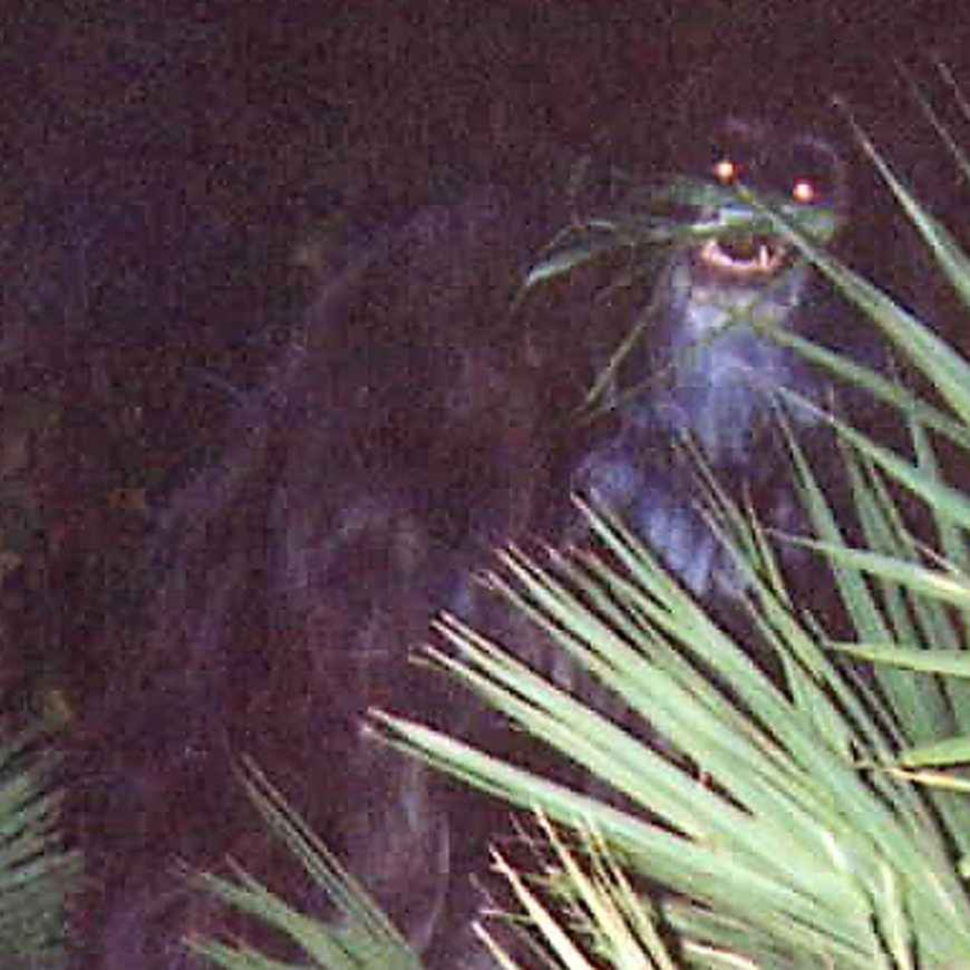 Disturbing Mysteries to Relax or Sleep To