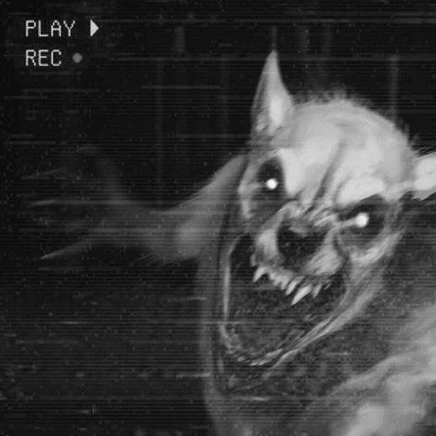I Am a Cryptid HITMAN. A Wounded Hiker Came to My Door. Something Followed Him.
