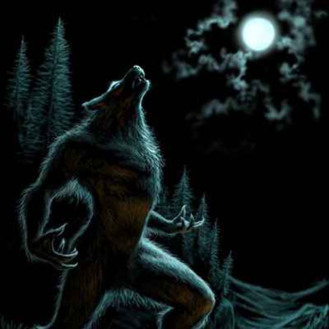 11 TRUE SCARY PARK RANGER HORROR STORIES