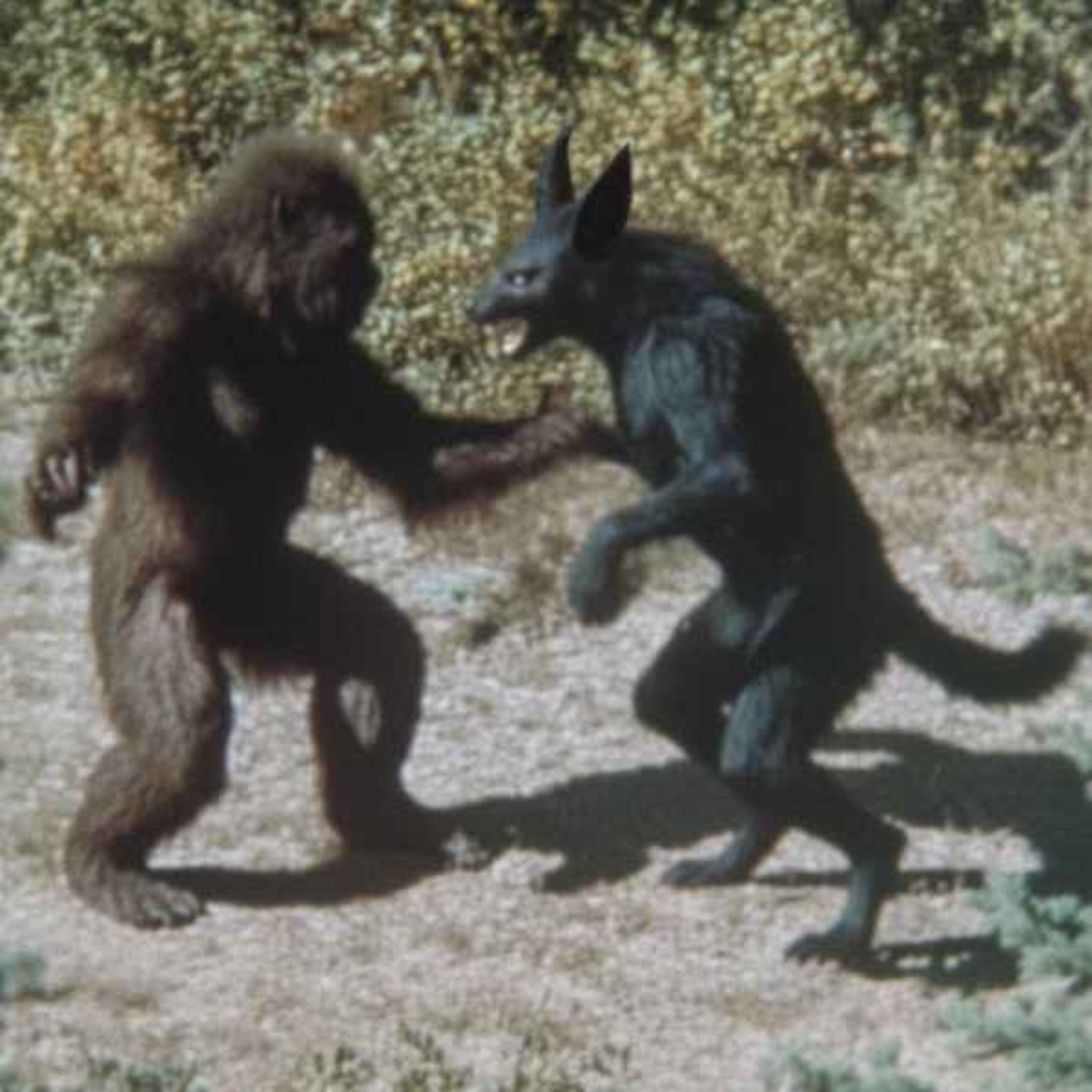 U.S. Government Hired Me to Hunt CRYPTIDS. What We Found in Alaska Shouldn’t Exist. U.S. Government Hired Me to Hunt CRYPTIDS. What We Found in Alaska Shouldn’t Exist.