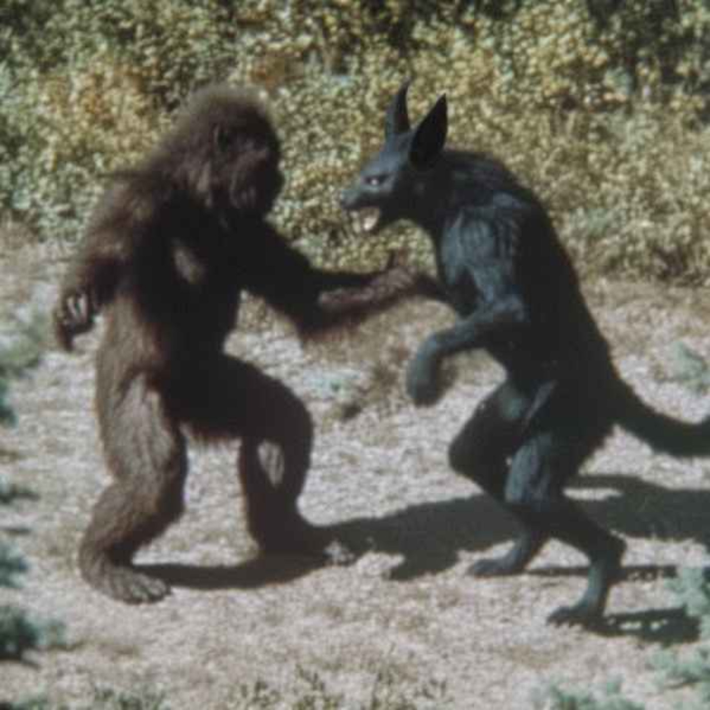 Gov't FINALLY ADMITS What's In National Parks Gov't FINALLY ADMITS What's In National Parks