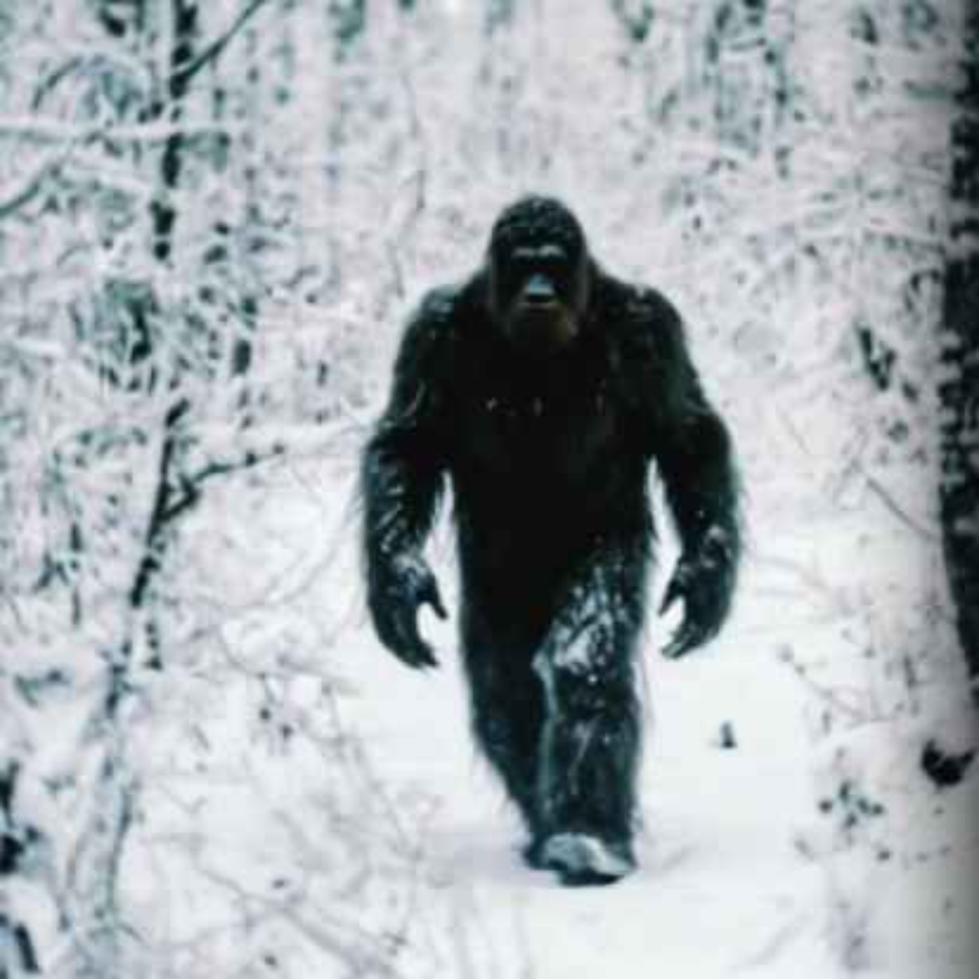 NATIVE Americans FINALLY REVEAL What They KILLED In North Carolina Deep Woods NATIVE Americans FINALLY REVEAL What They KILLED In North Carolina Deep Woods