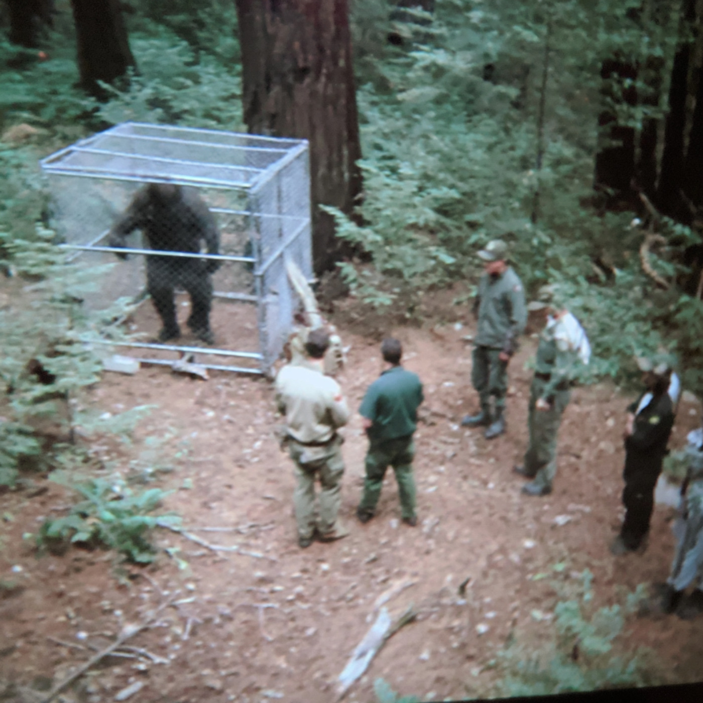 Truck Driver CRIES OUT! DO NOT TRAVEL these North Carolina Backroads! Truck Driver CRIES OUT! DO NOT TRAVEL these North Carolina Backroads!