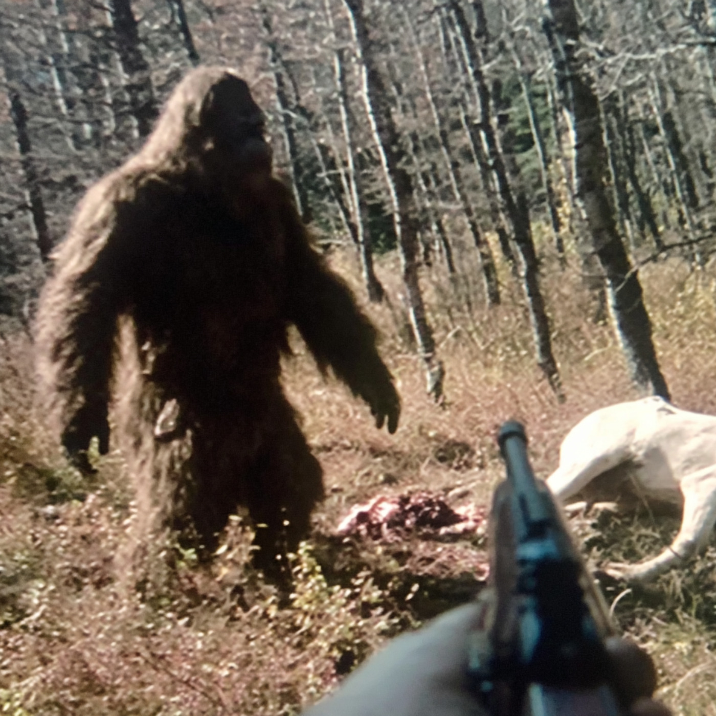 Cherokee NATIVE Warns: SOMETHING Is Going On in the Great Smoky Mountains Cherokee NATIVE Warns: SOMETHING Is Going On in the Great Smoky Mountains