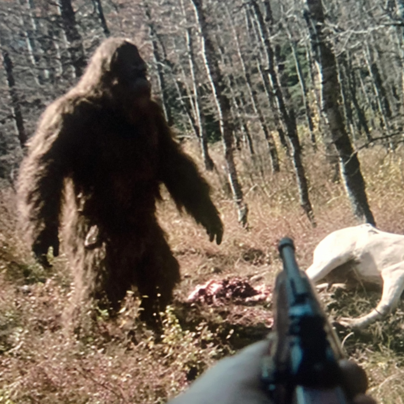 Cherokee Elder CRIES OUT: SOMETHING Is Going On In The North Carolina Mountains Cherokee Elder CRIES OUT: SOMETHING Is Going On In The North Carolina Mountains