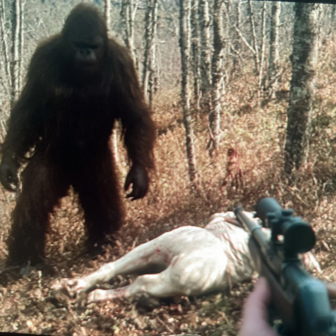 Serial Killer in Yellowstone National Park. But It’s Not Human Serial Killer in Yellowstone National Park. But It’s Not Human