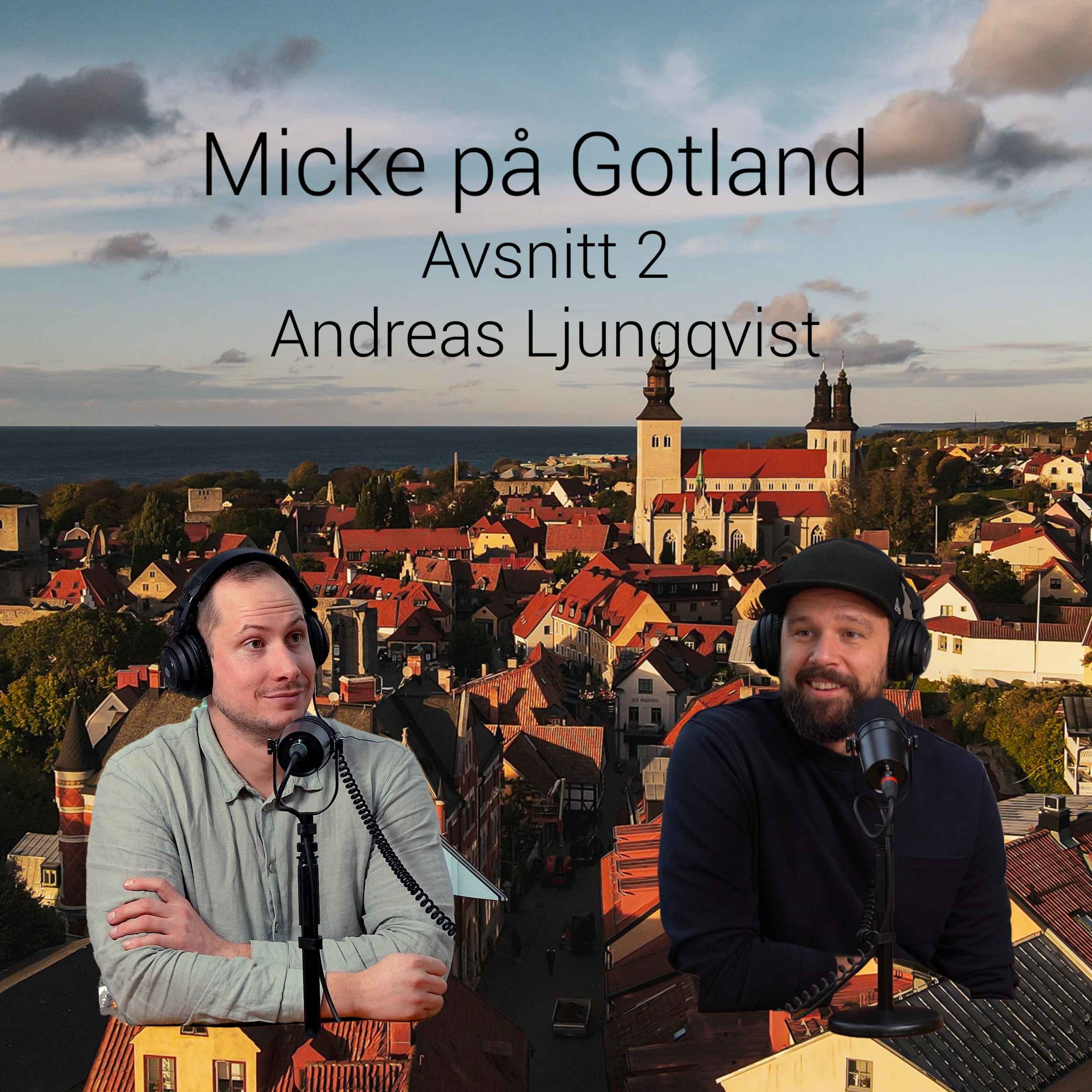 cover art for Andreas Ljungqvist