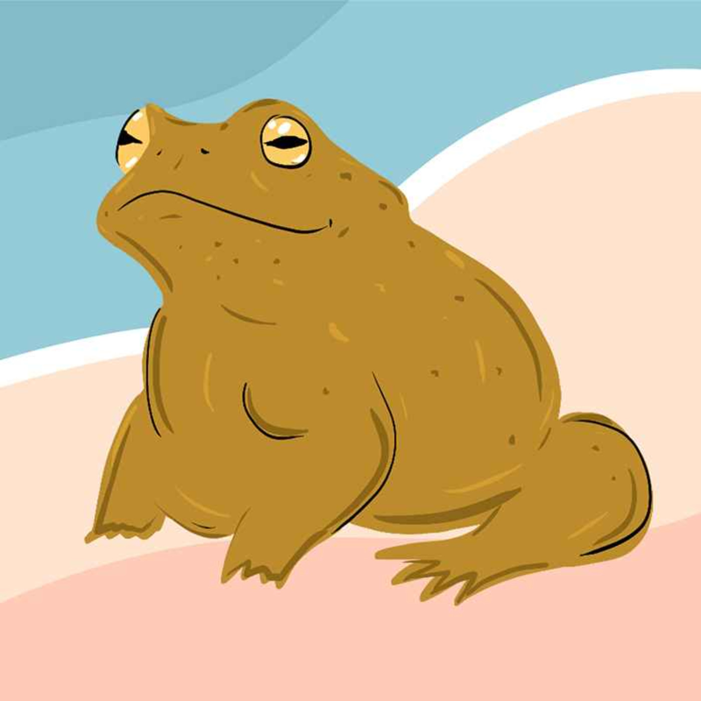 La route est libre pour les crapauds