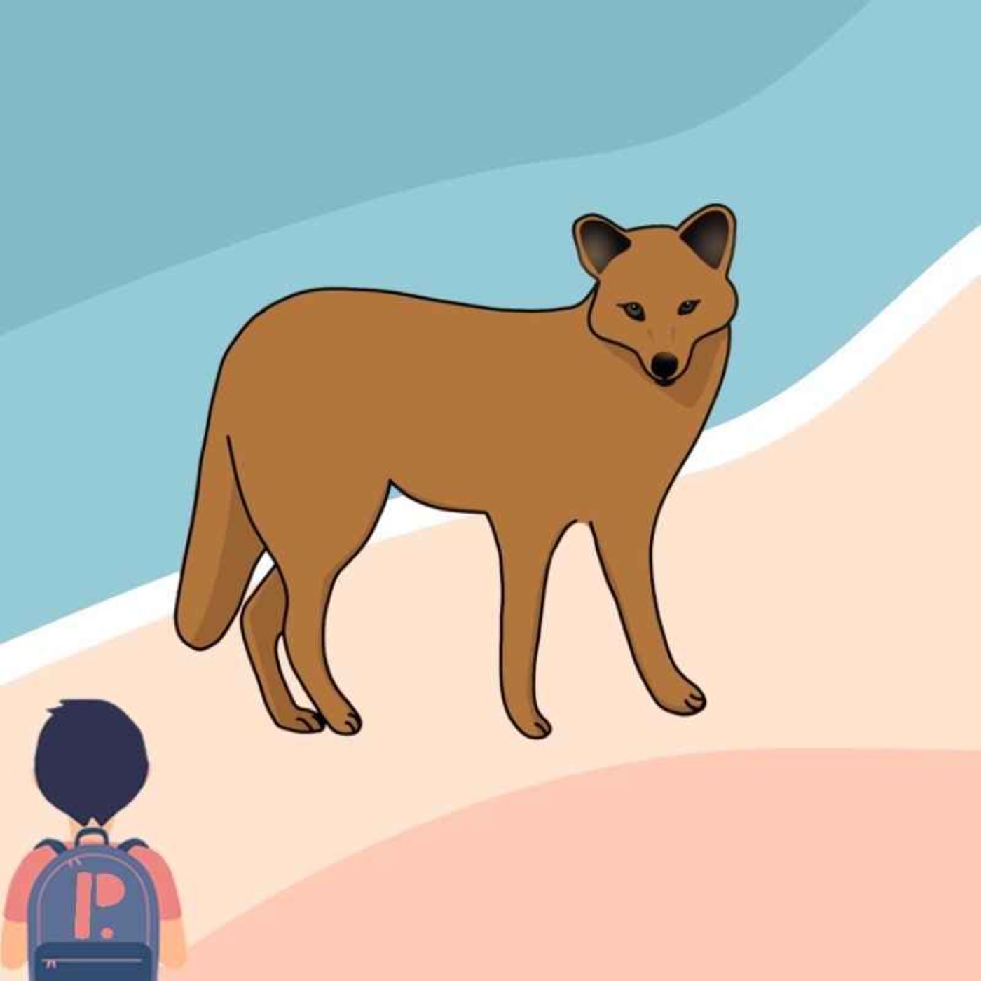 Un chacal doré à domicile