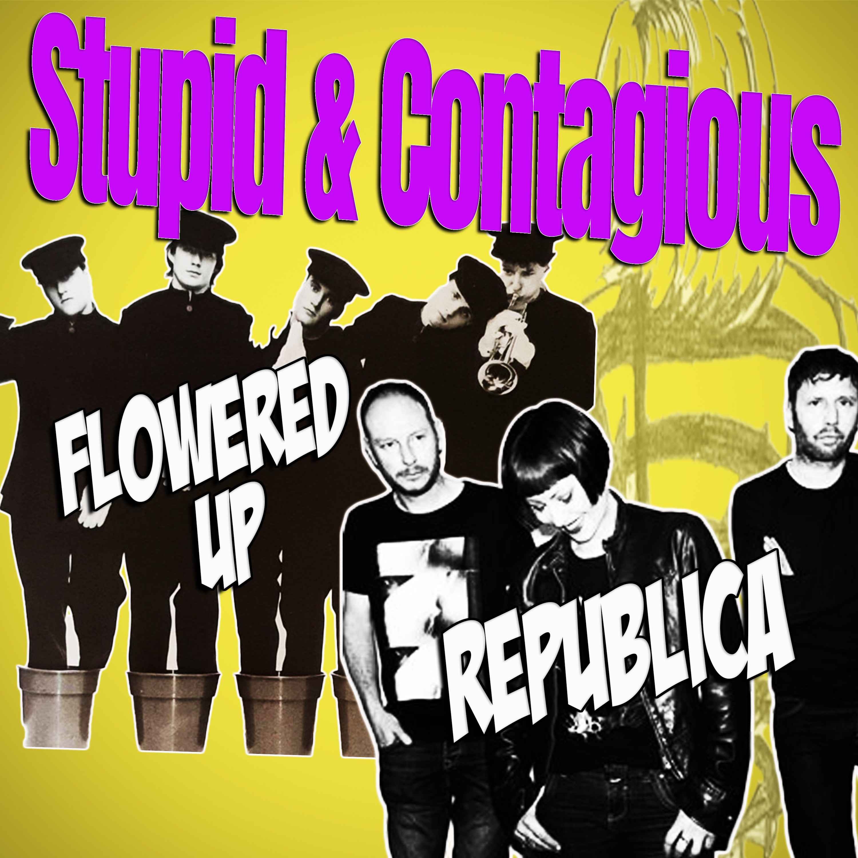 Stupid & Contagious