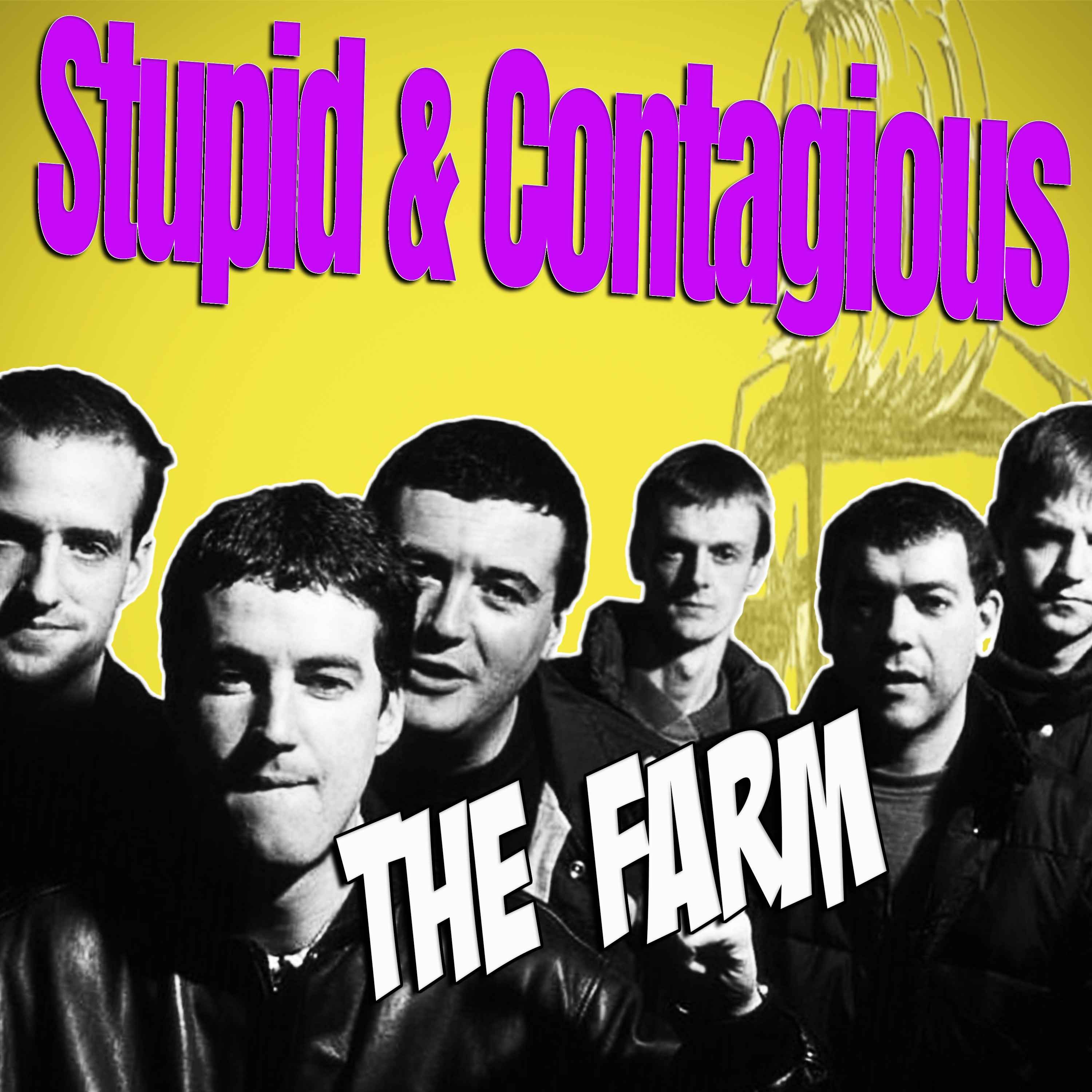 Stupid & Contagious