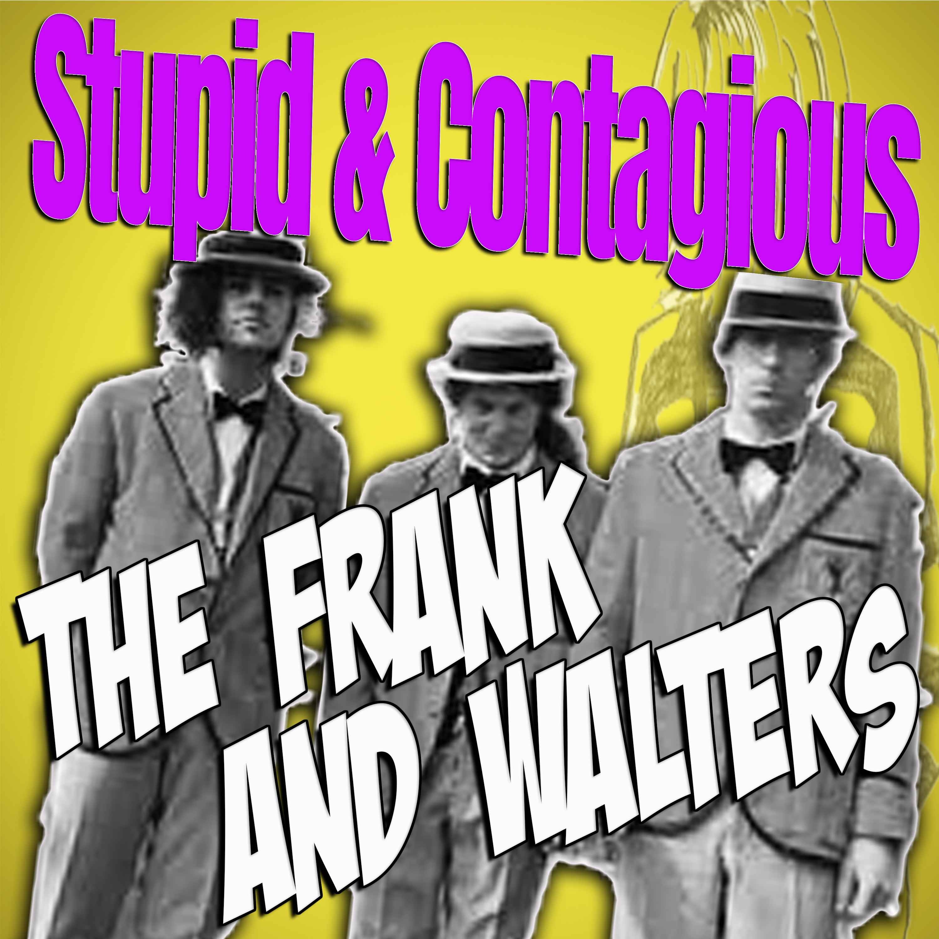 #62 / 90s Guitar Bands - The Frank & Walters