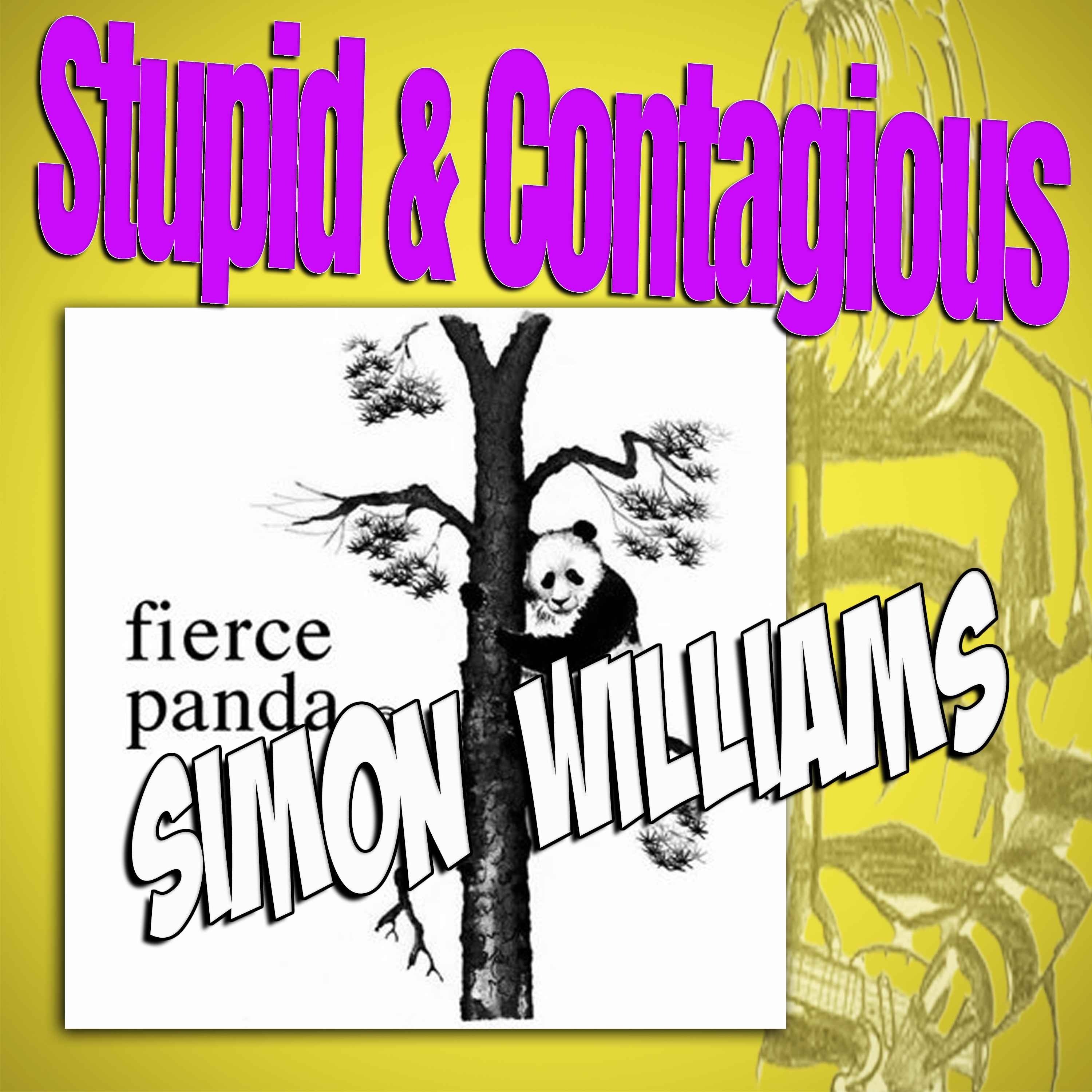#90 / 90s Guitar Bands - Fierce Panda