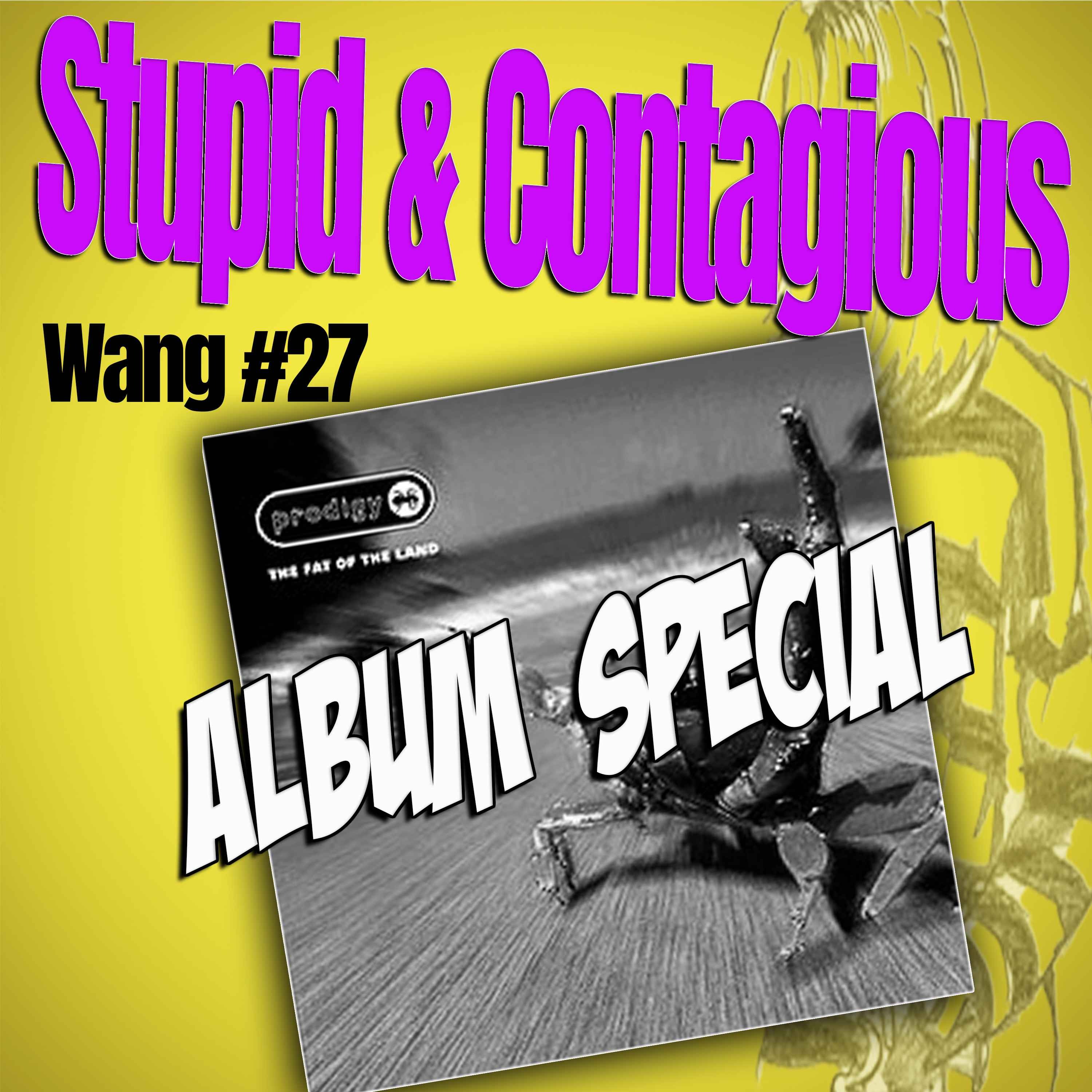 #137 / 90s Guitar Bands - Wang No. 27