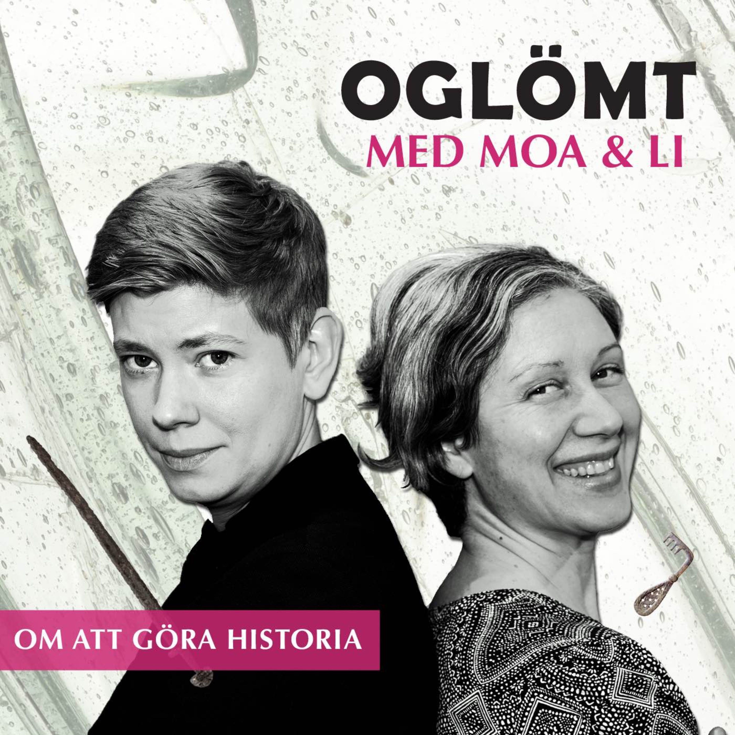 cover art for 10. Gustav Vasa – borde vi bry oss?