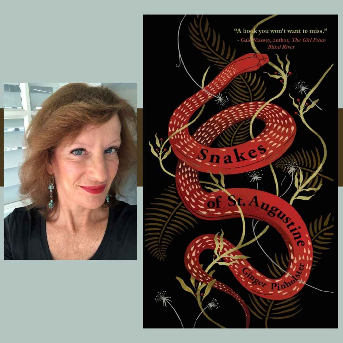 cover art for Author Ginger Pinholster - Snakes of St. Augustine