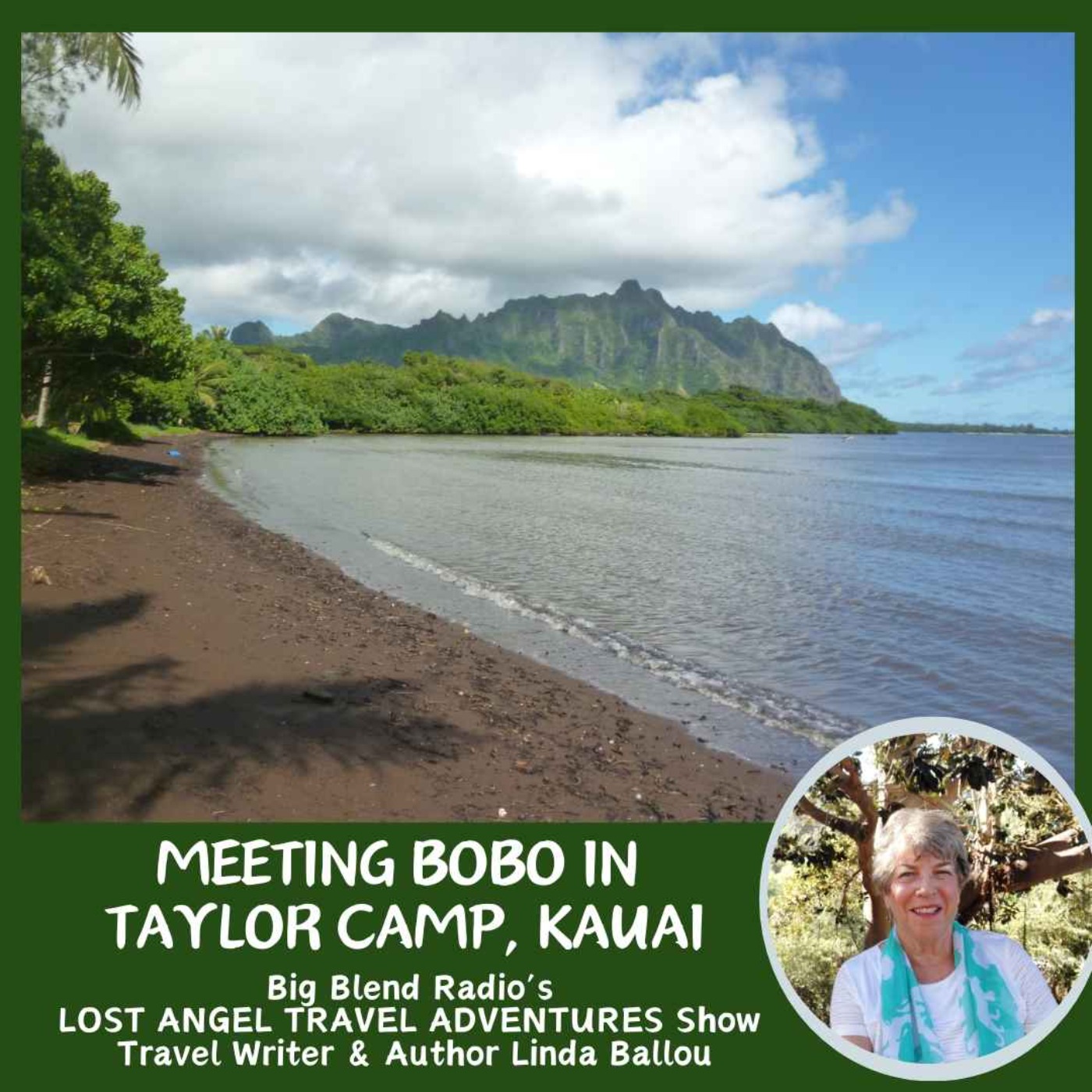 cover art for Meeting Suzanne "Bobo" Bollins of Notorious Taylor Camp in Kauai