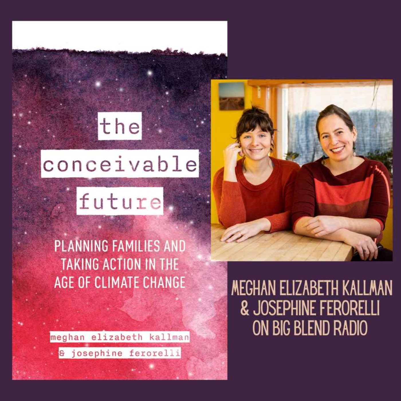 cover art for Meghan Elizabeth Kallman and Josephine Ferorelli - The Conceivable Future