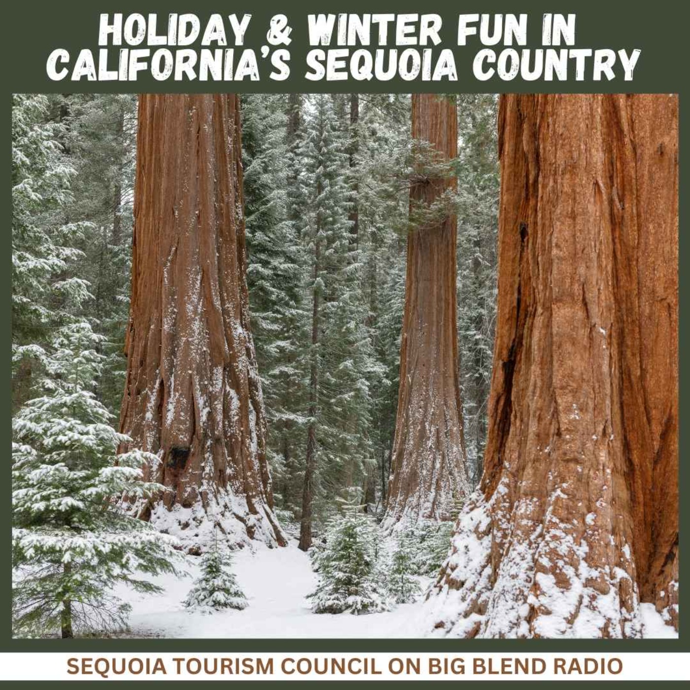 cover art for Holiday and Winter Fun in California's Sequoia Country