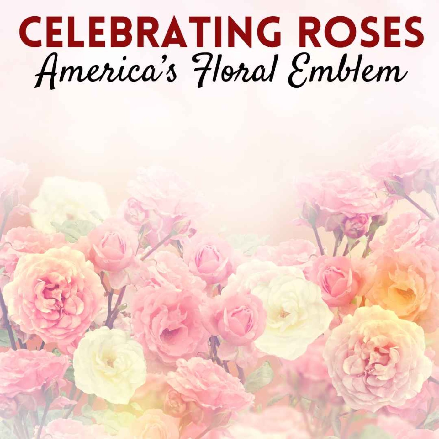 cover art for Celebrating Roses - America's Floral Emblem