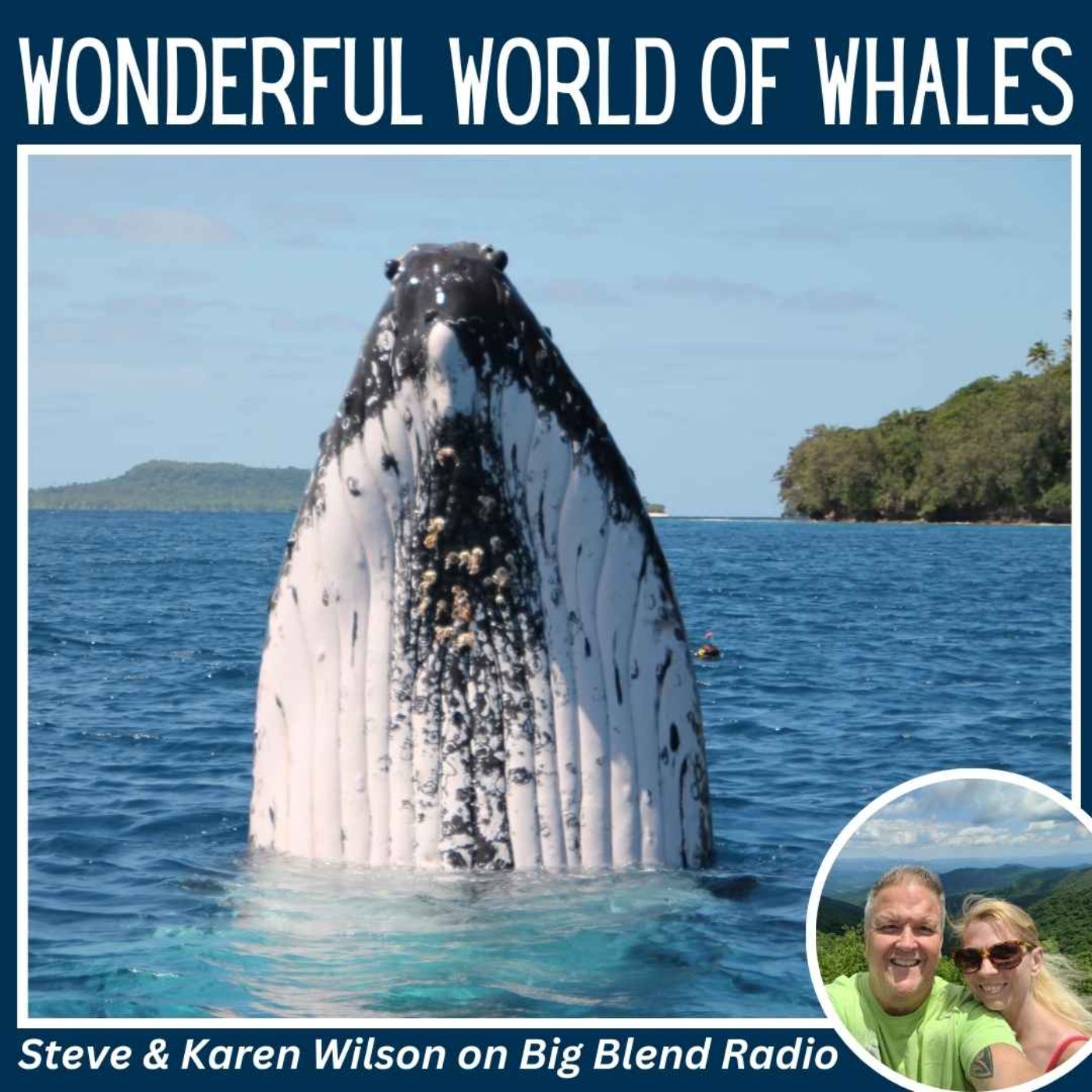 cover art for Steve & Karen Wilson - Wonderful World of Whales