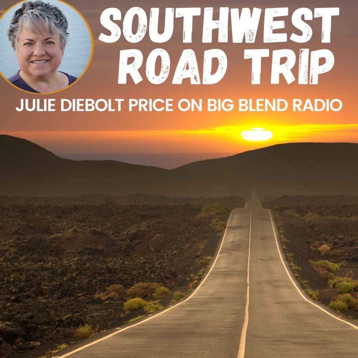 cover art for Julie Diebolt Price - Southwest Road Trip
