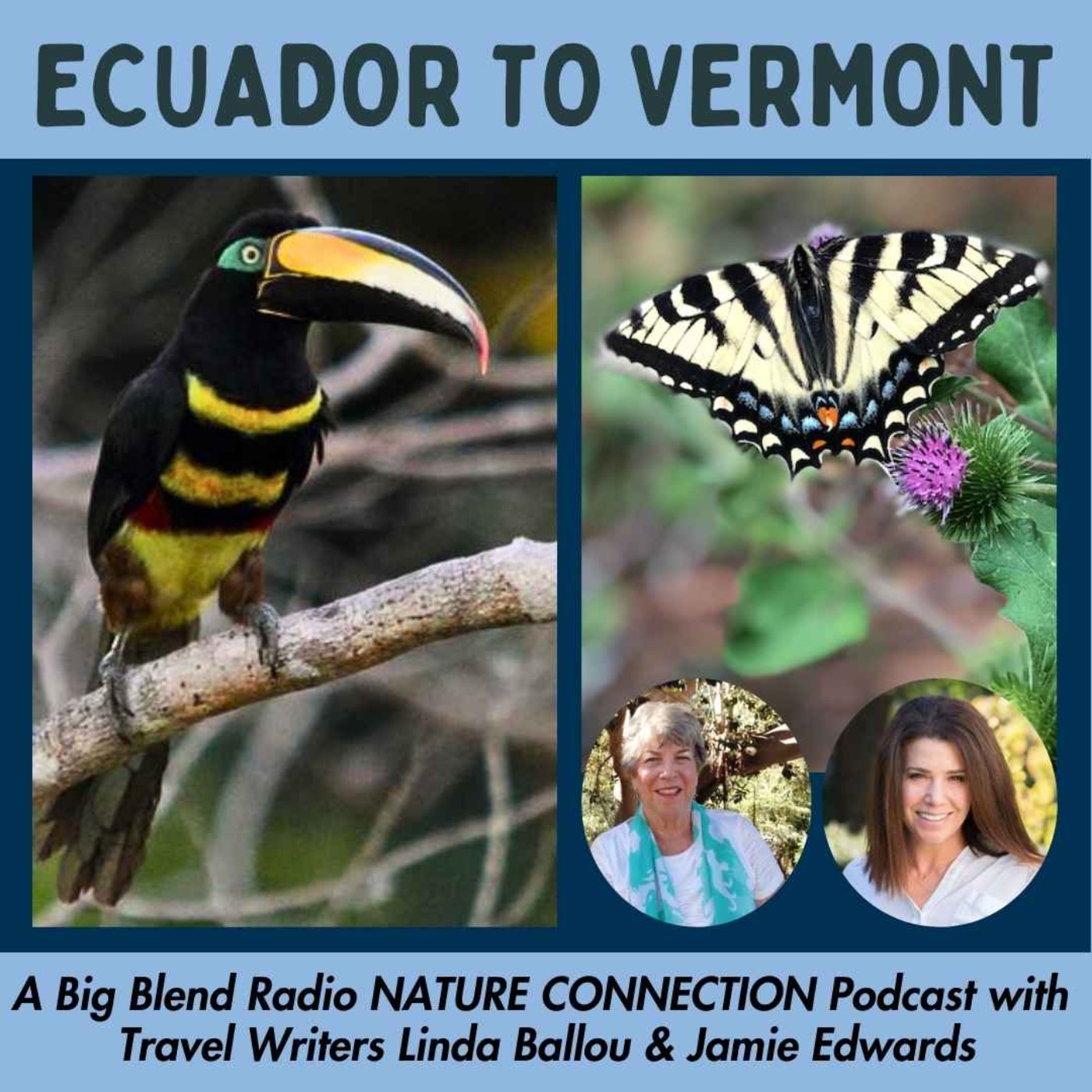 cover art for Nature Connection Destinations - Ecuador to Vermont