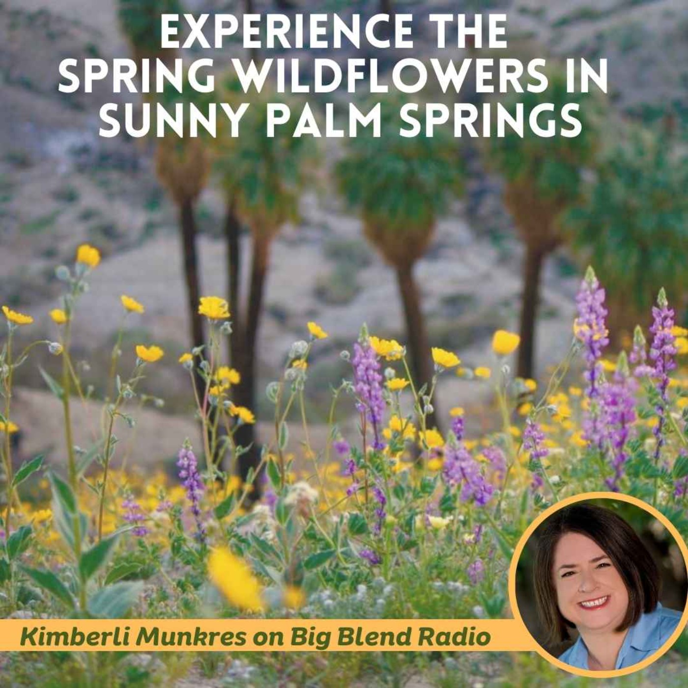 cover art for Experience the Spring Wildflowers in Sunny Palm Springs