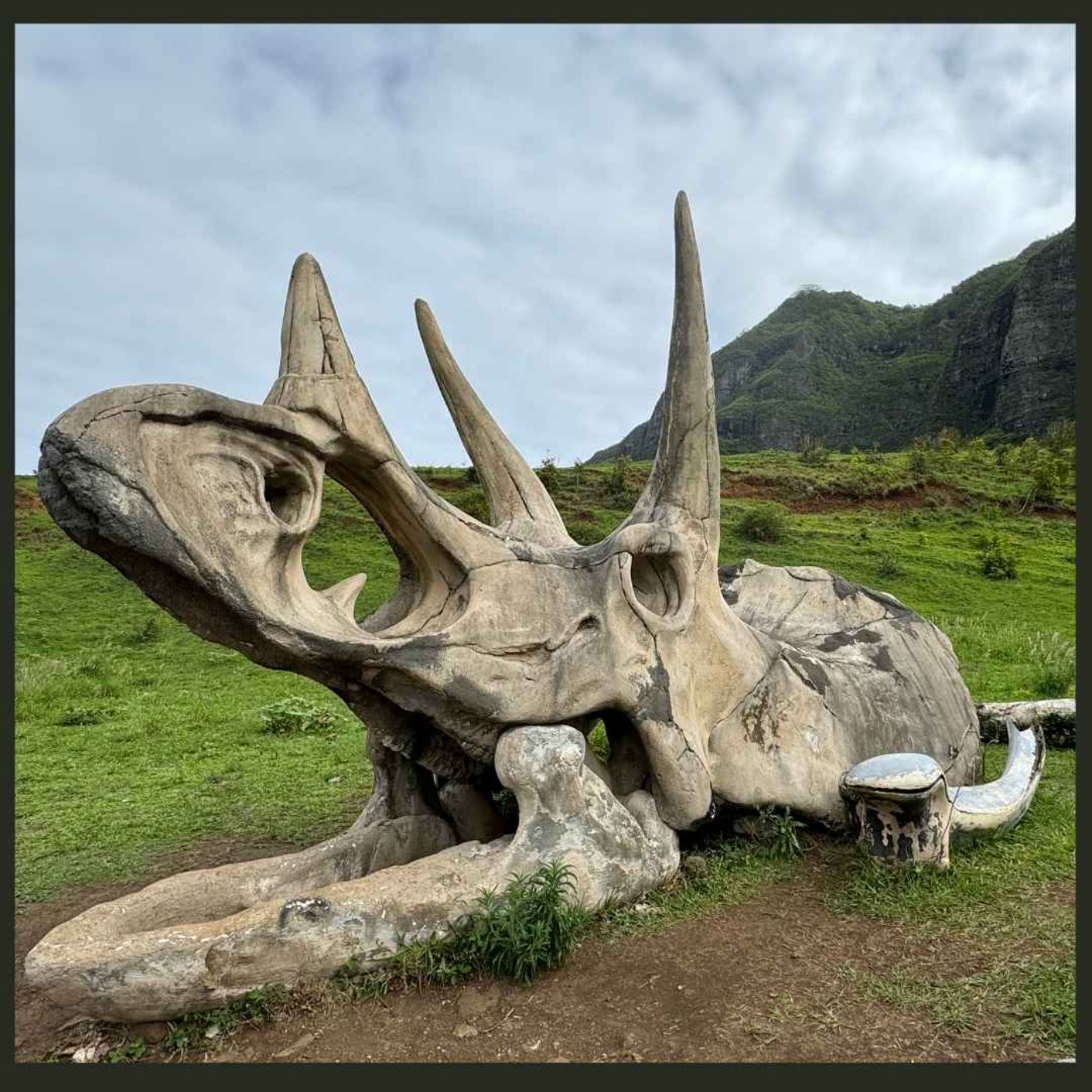 cover art for Debbie Stone - A Visit to Kualoa Ranch in Hawaii