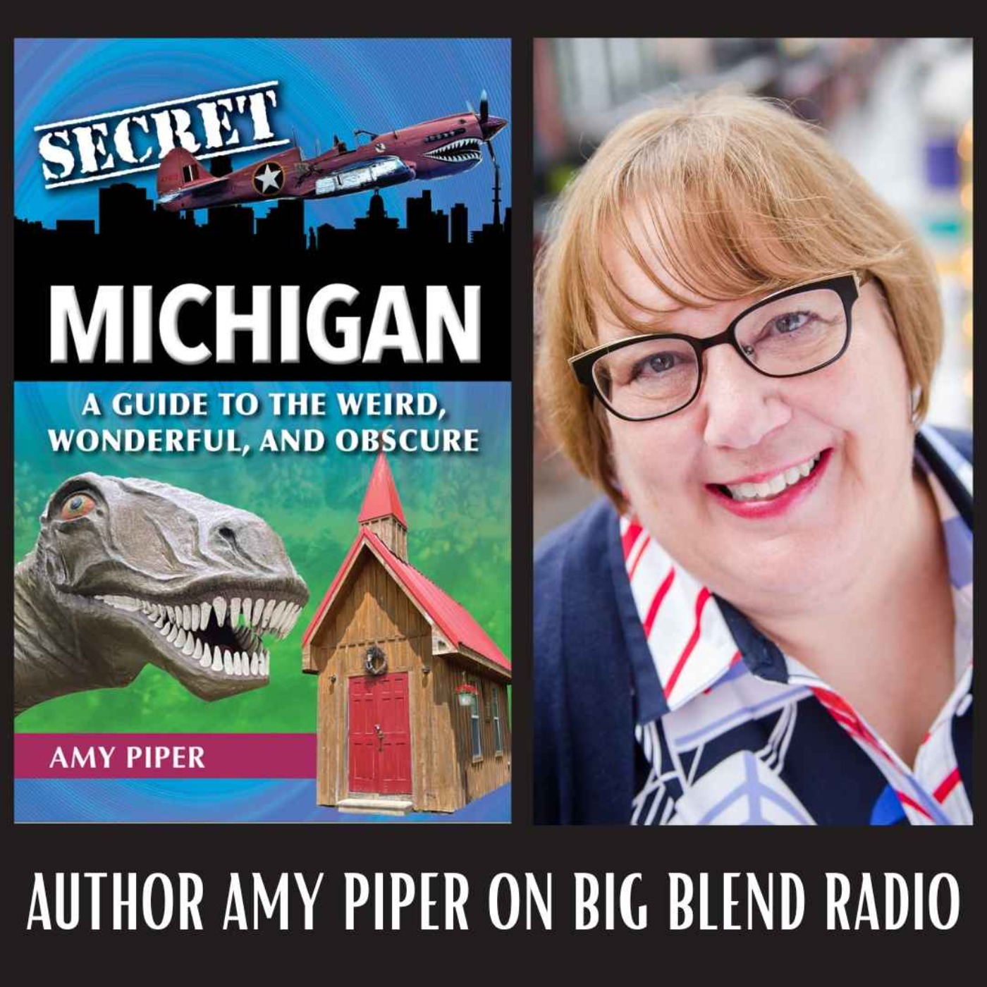 cover art for Author Amy Piper - Secret Michigan