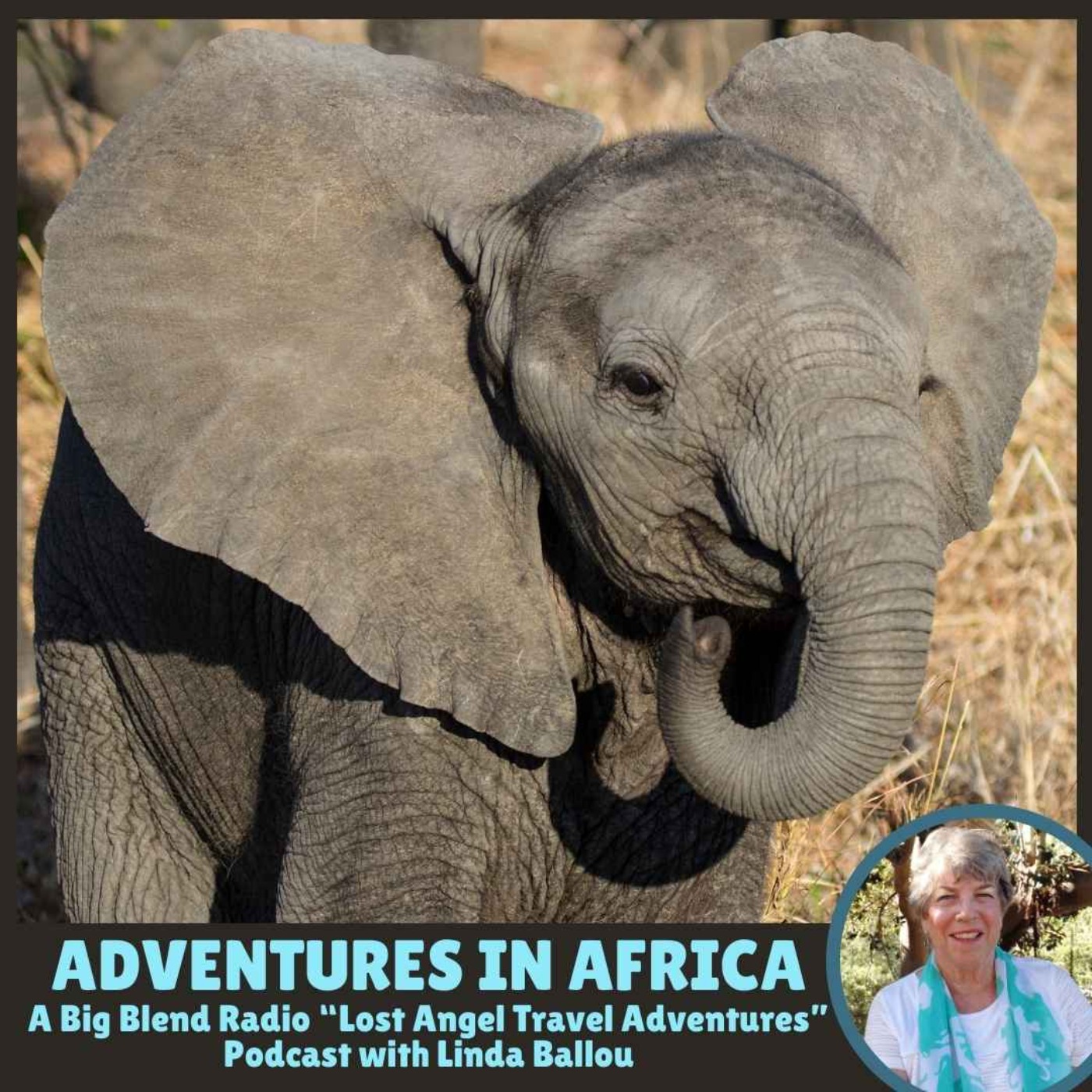 cover art for Linda Ballou - Adventures in Africa