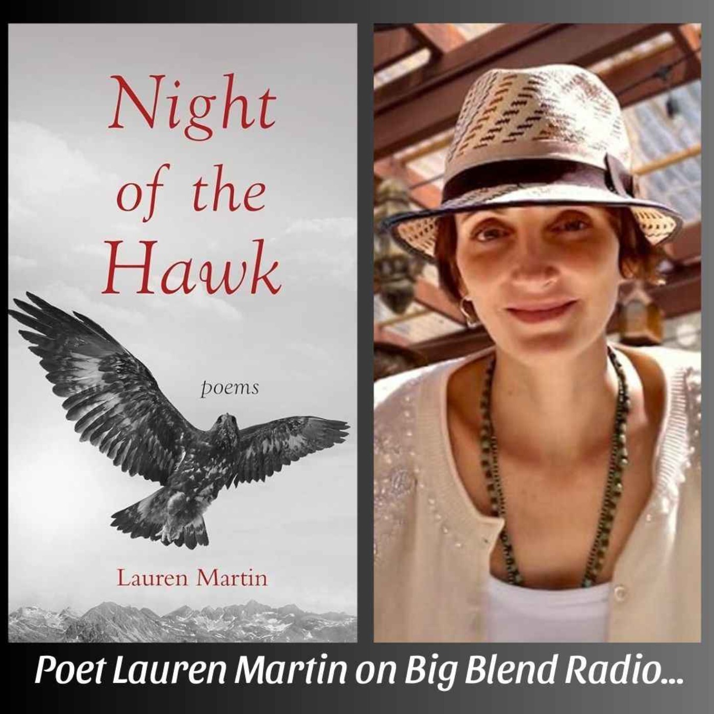 cover art for Poet Lauren Martin - Night of the Hawk