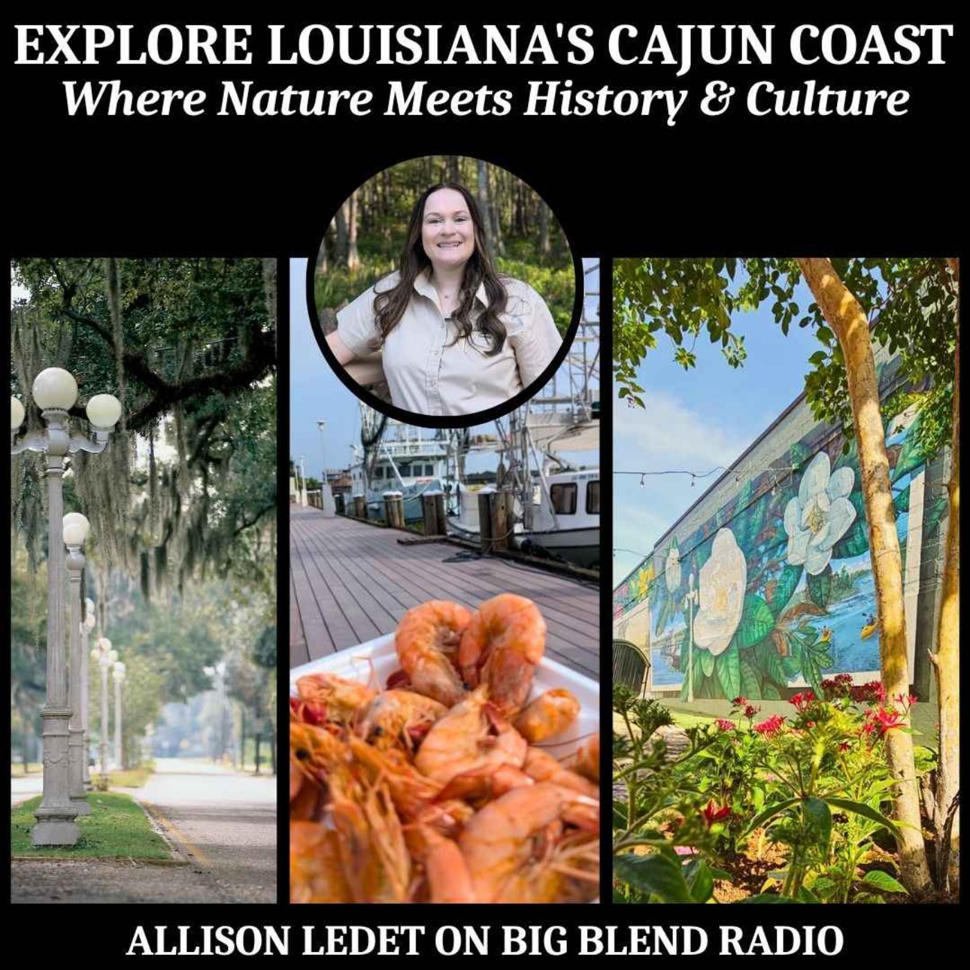 Exploring Louisiana's Cajun Coast