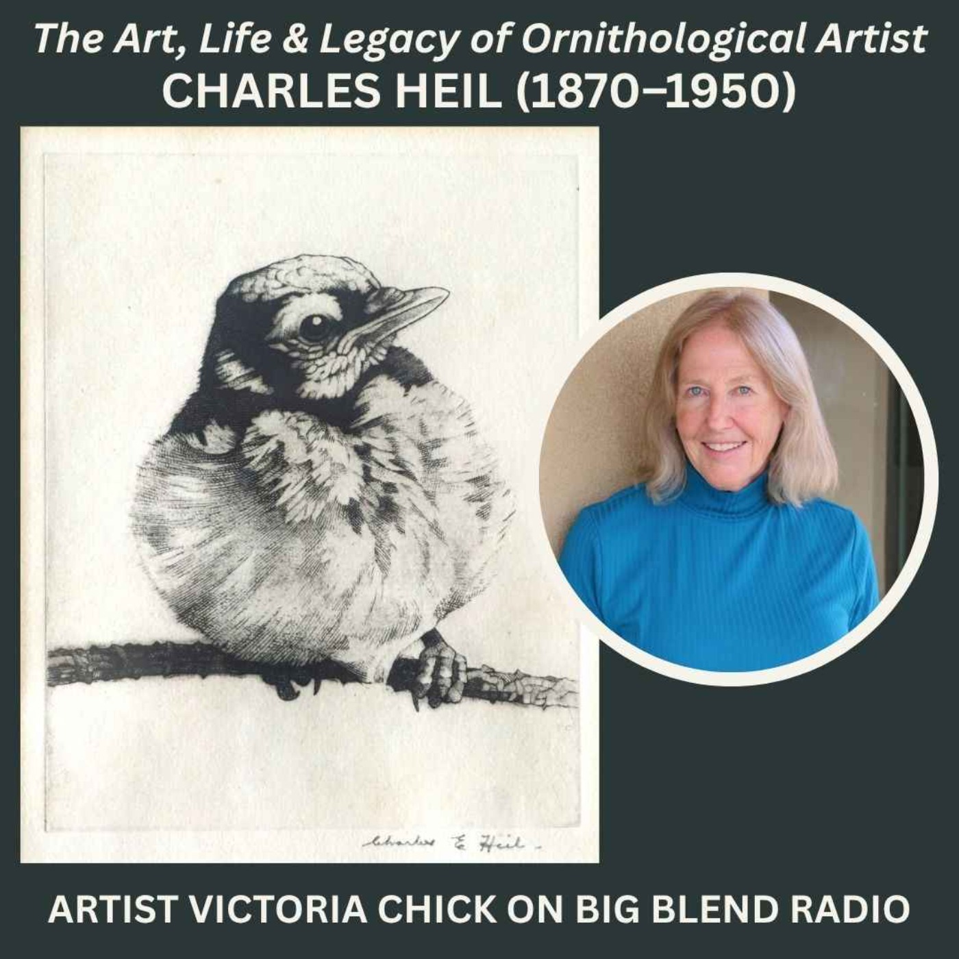 The Life & Legacy of Ornithological Artist Charles Heil