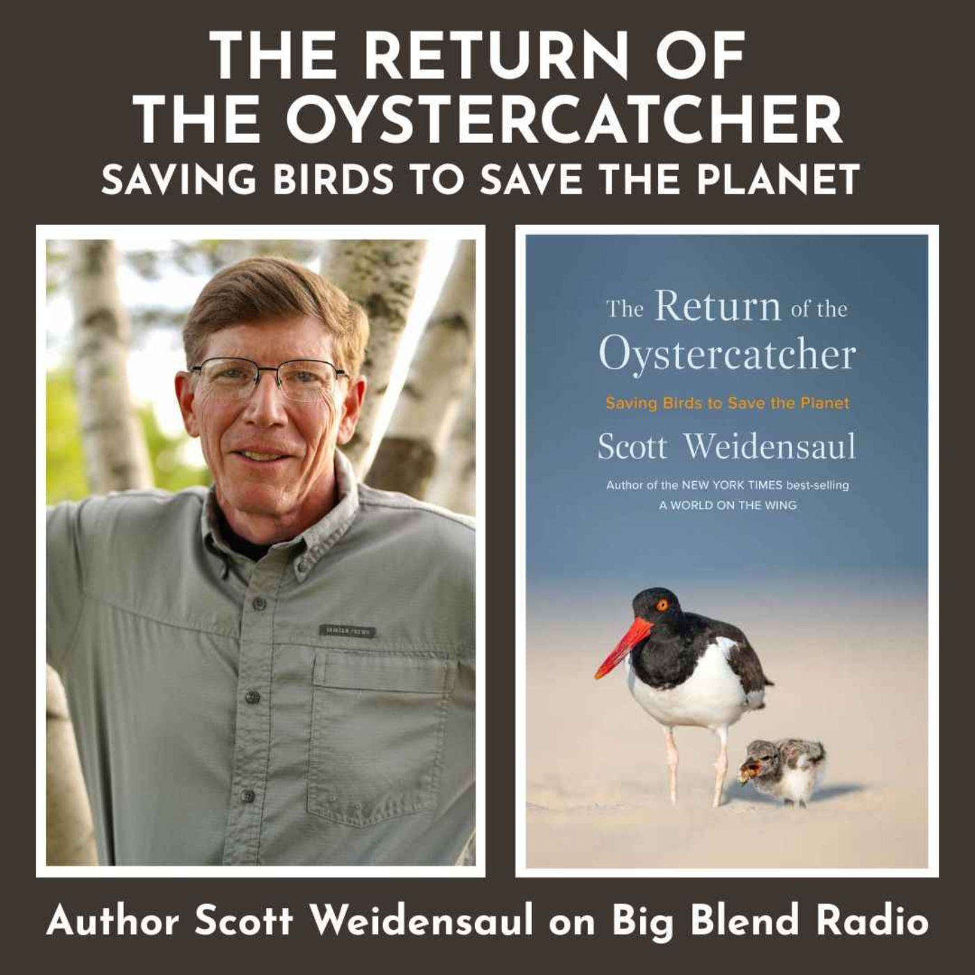 Author Scott Weidensaul: The Return of the Oystercatcher - Saving Birds to Save The Planet episode artwork