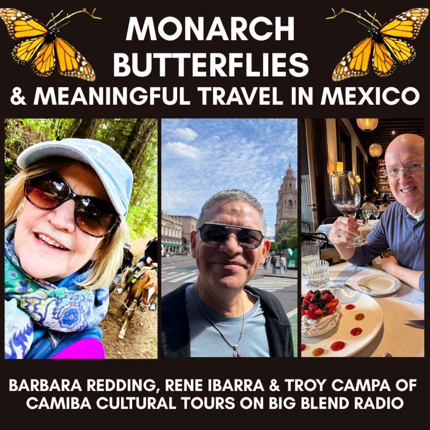 Monarch Butterflies & Meaningful Travel in Mexico with Camiba Cultural Tours episode artwork