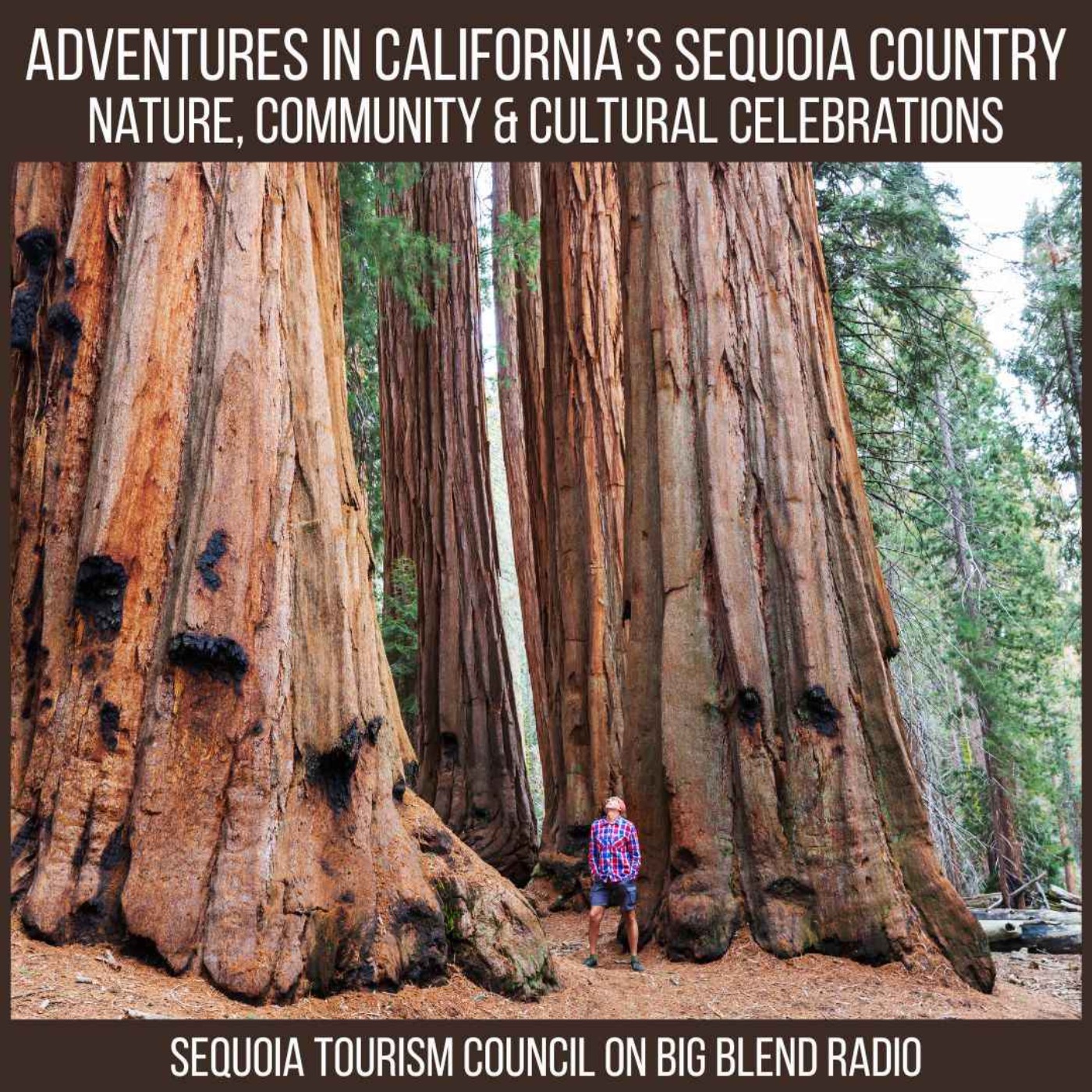 Adventures in California's Sequoia Country   episode artwork