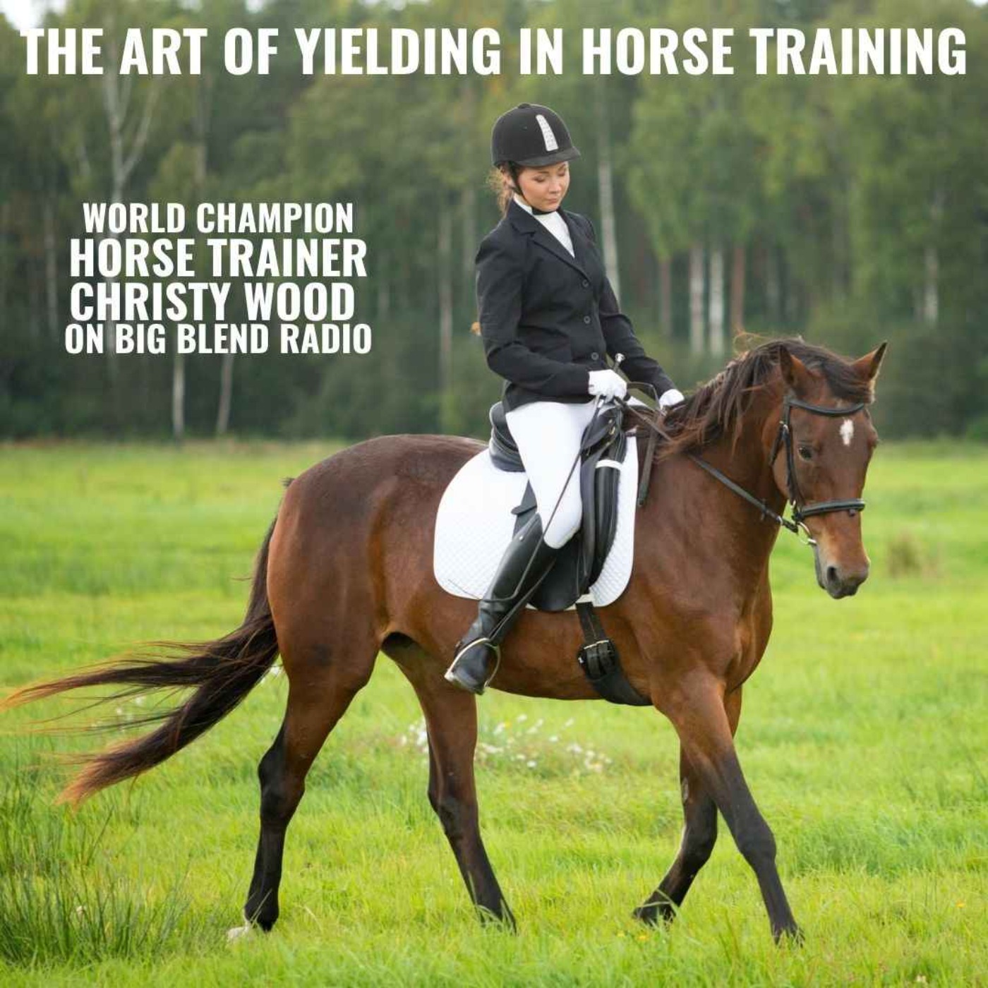 The Art of Yielding in Horse Training episode artwork
