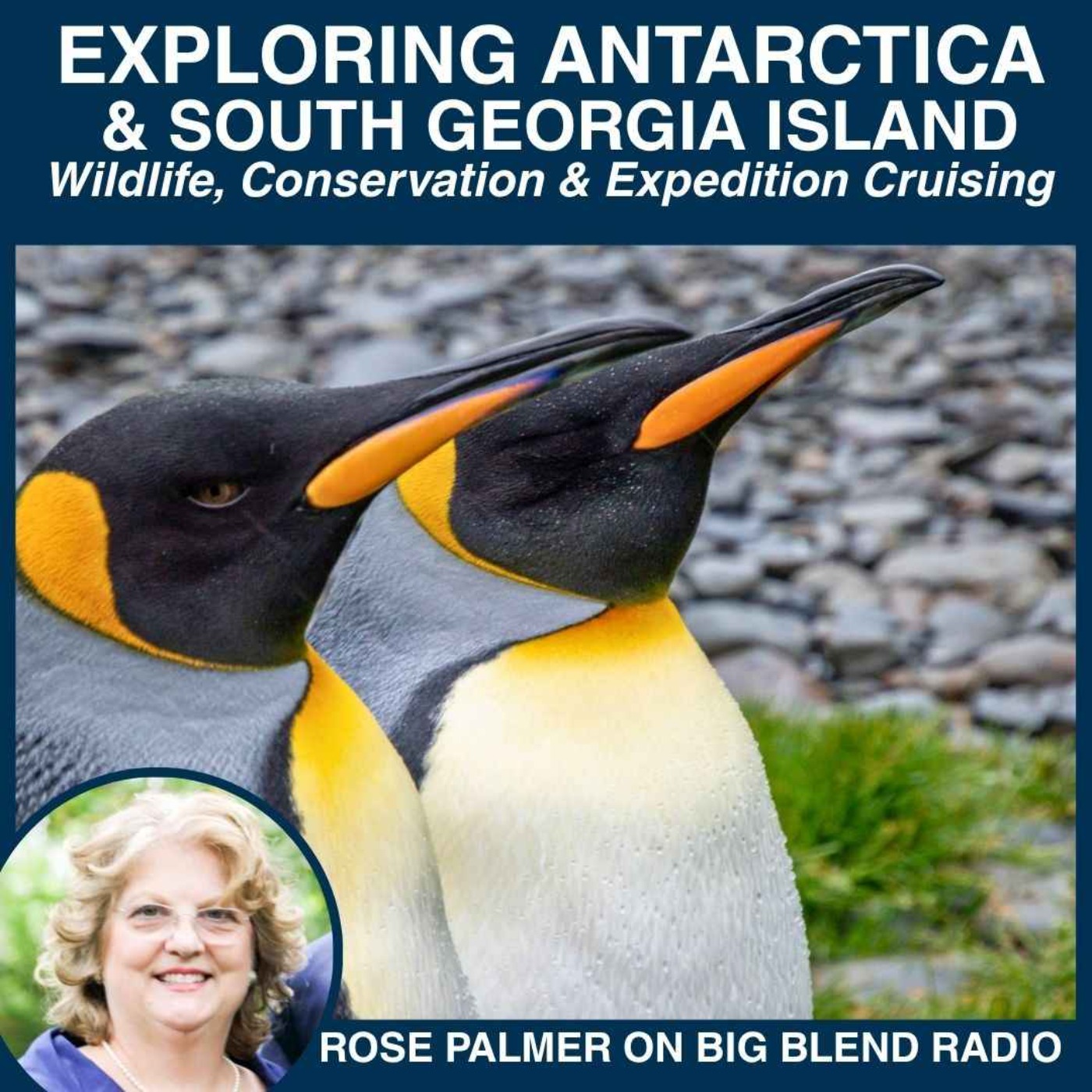 Exploring Antarctica & South Georgia Island episode artwork