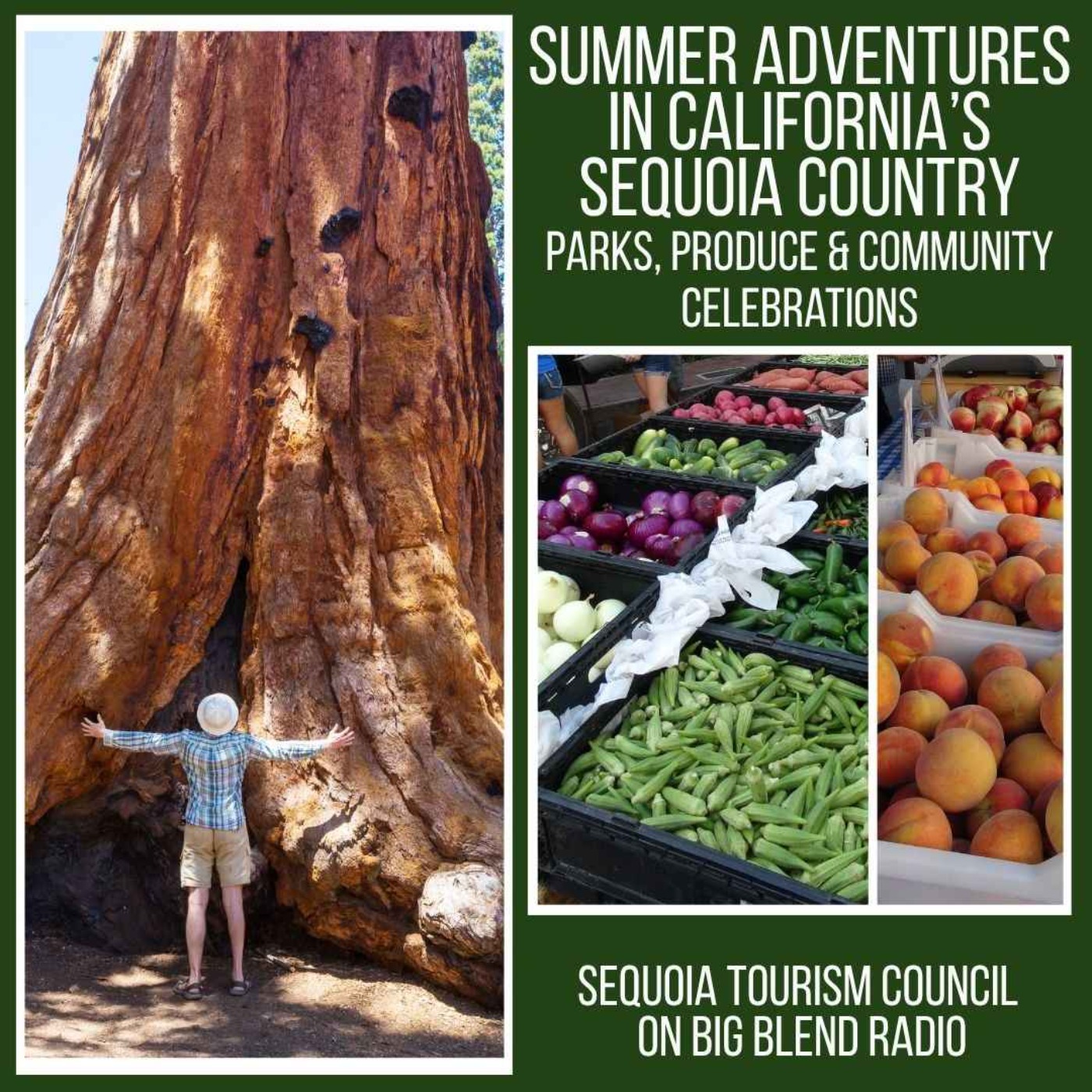 Summer Adventures in California’s Sequoia Country episode artwork