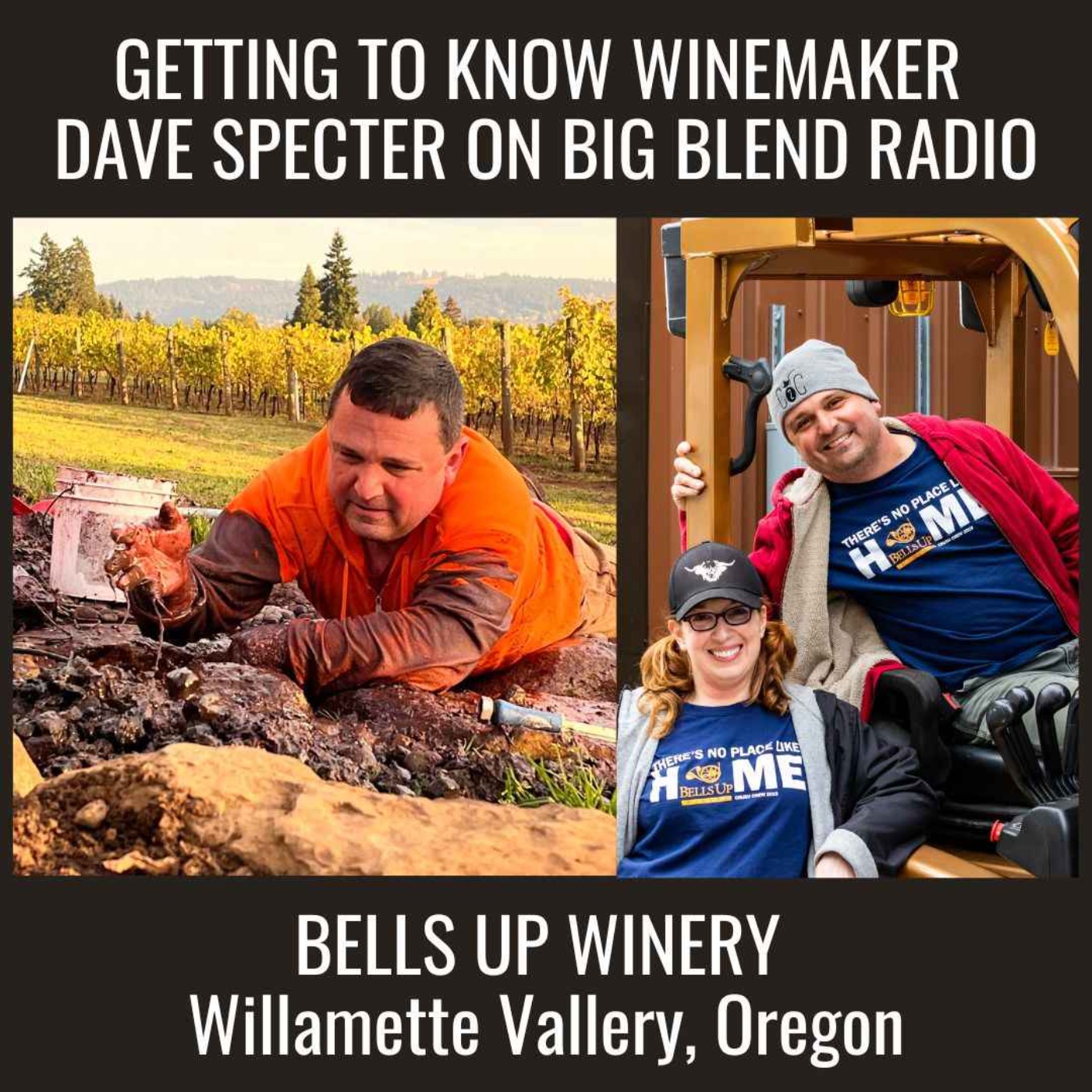 Getting to Know Winemaker Dave Specter episode artwork