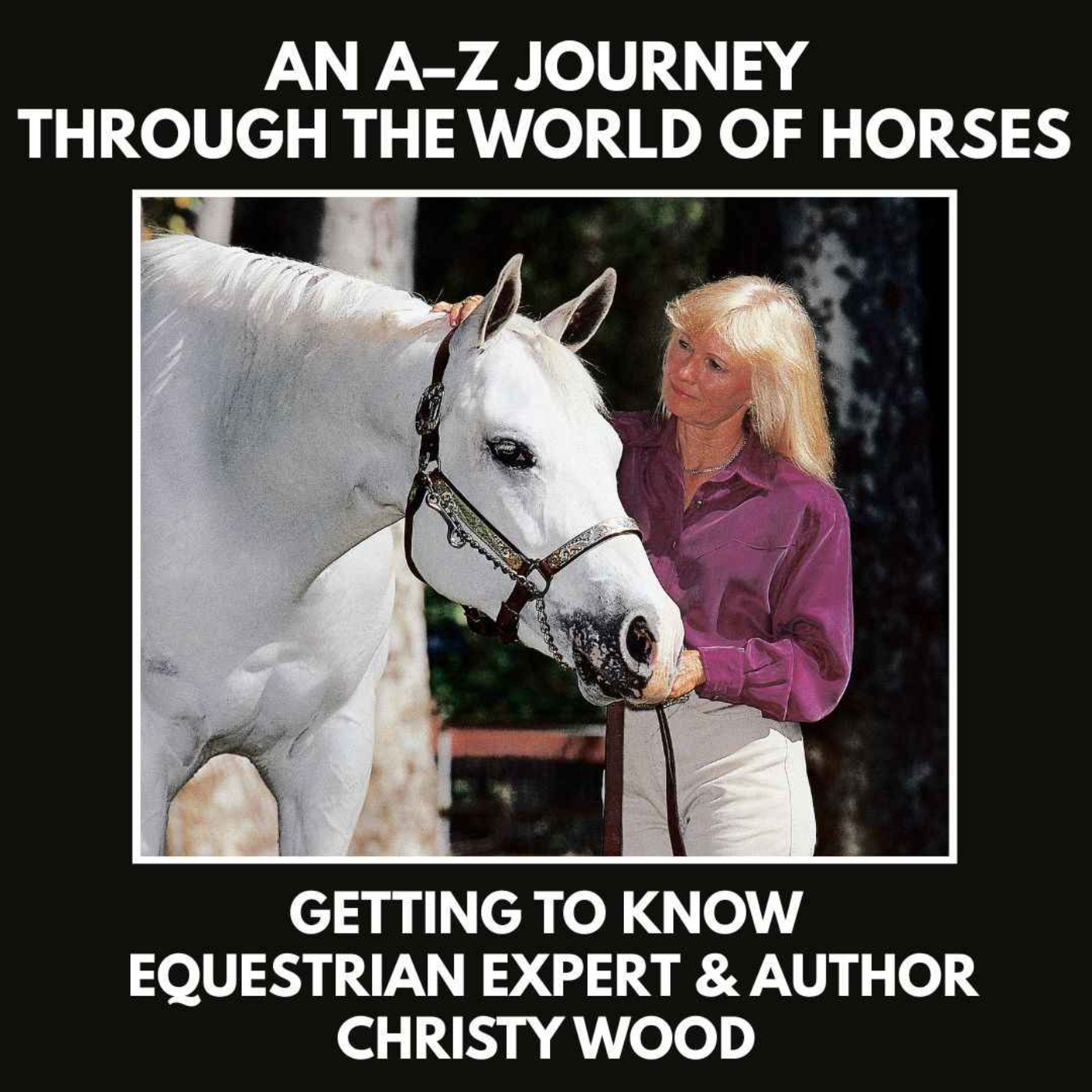 Getting to Know Horse Expert Christy Wood episode artwork