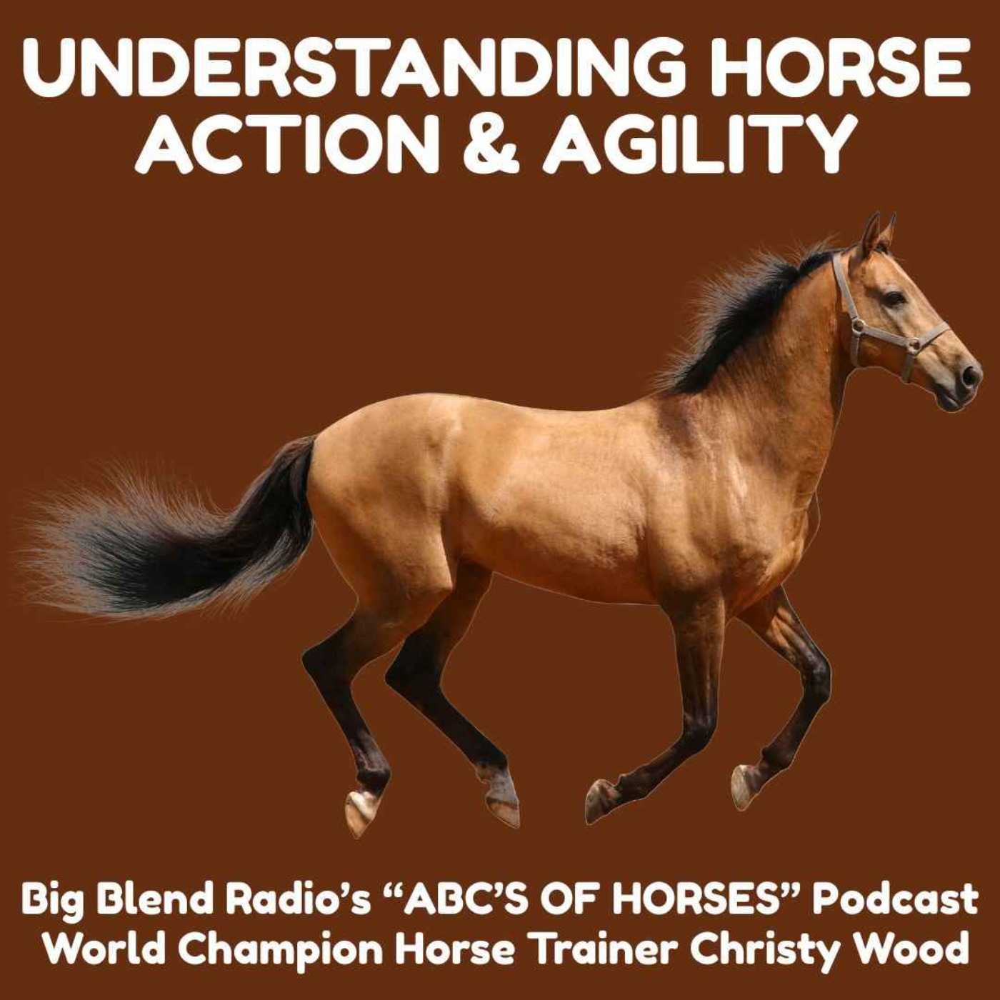 Understanding Horse Action & Agility episode artwork