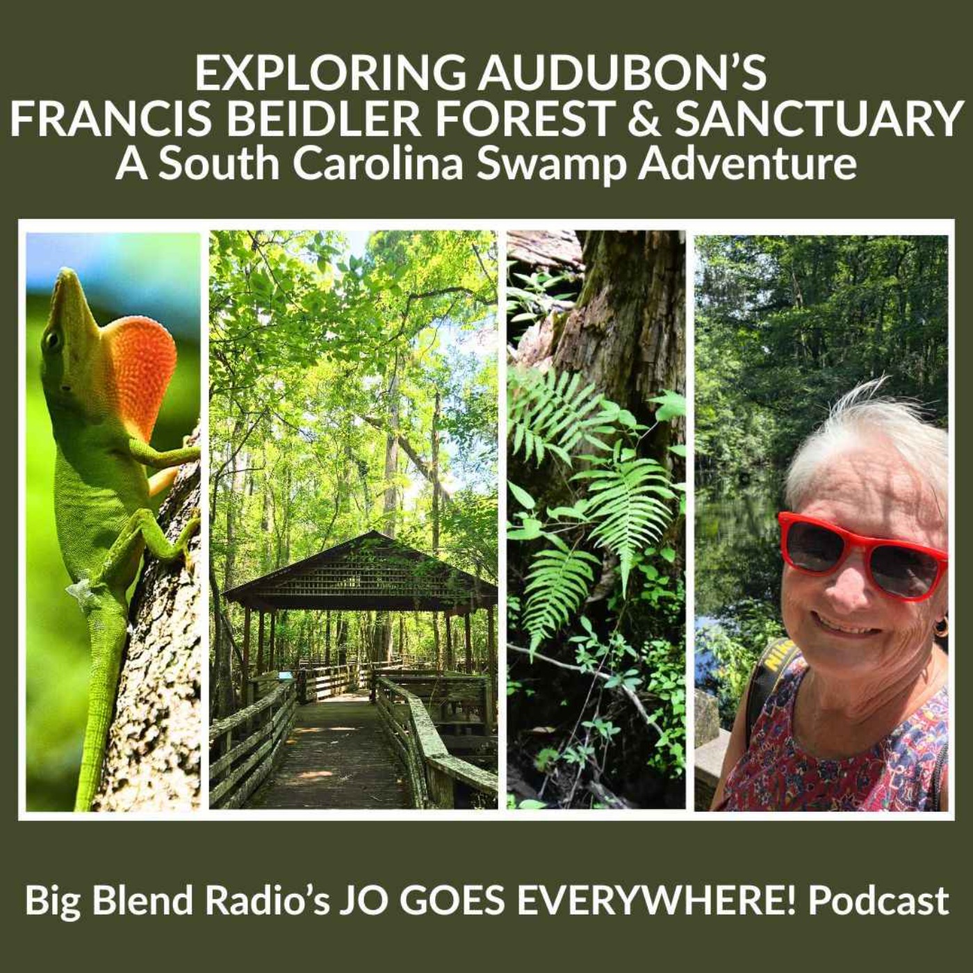 Exploring Audubon’s Francis Beidler Forest & Sanctuary episode artwork