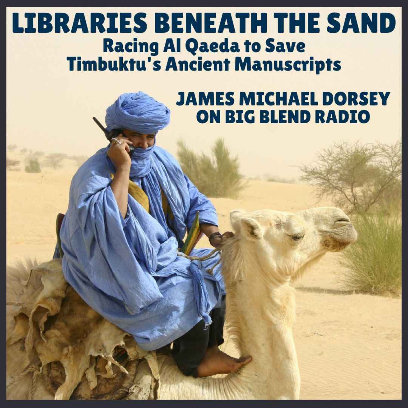 Libraries Beneath the Sand episode artwork
