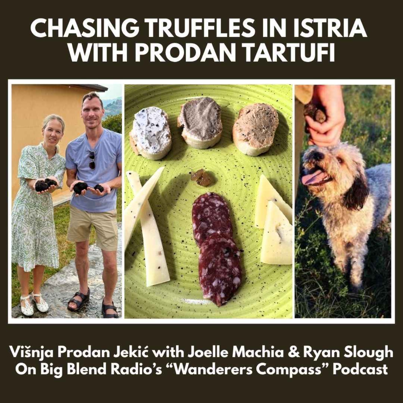 Chasing Truffles in Istria with Prodan Tartufi